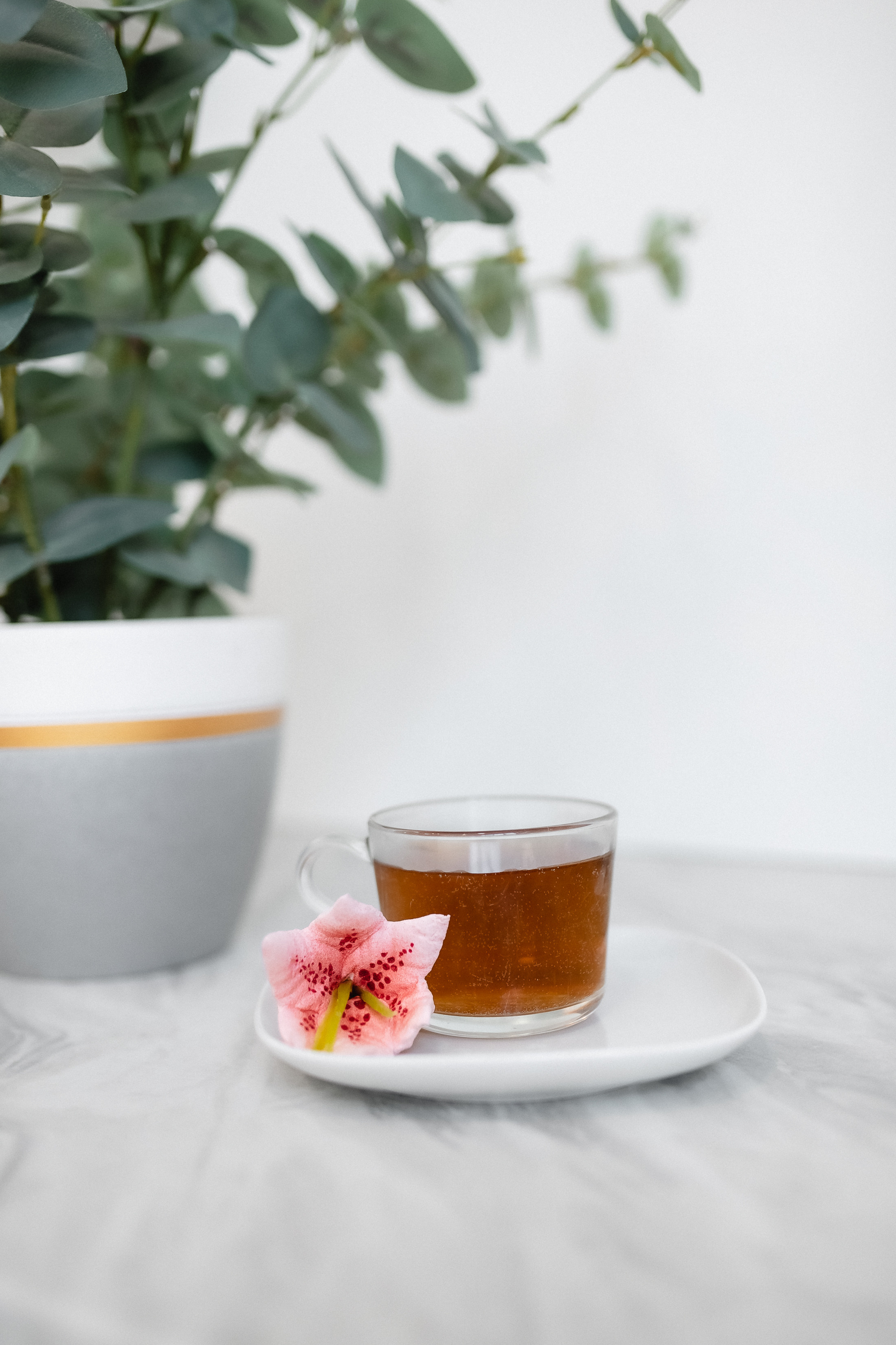 Контент для мастера кондитера шоколатье. КОНТЕНТ |БРЕНД фотограф Санкт-Петербург — Жанна Олтаржевская