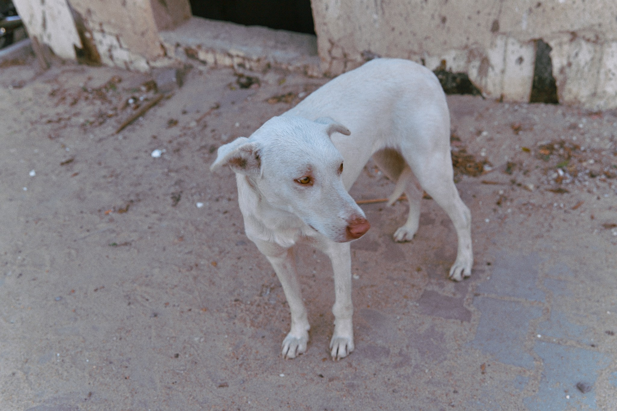 Другое. Jorgis Talè — photographer, kind person, teacher of arts and other mag