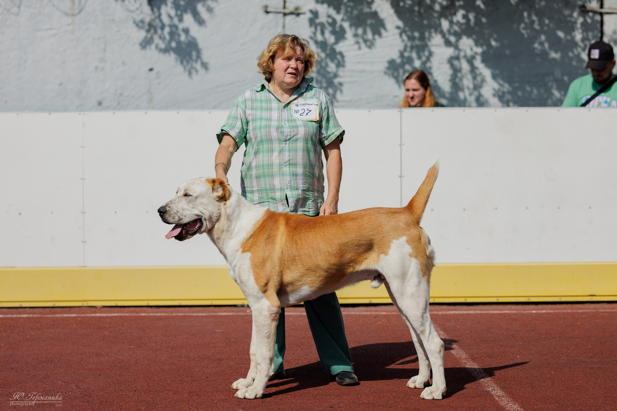 Коломна 30.08.2025. Фотограф-анималист Юлия Германика