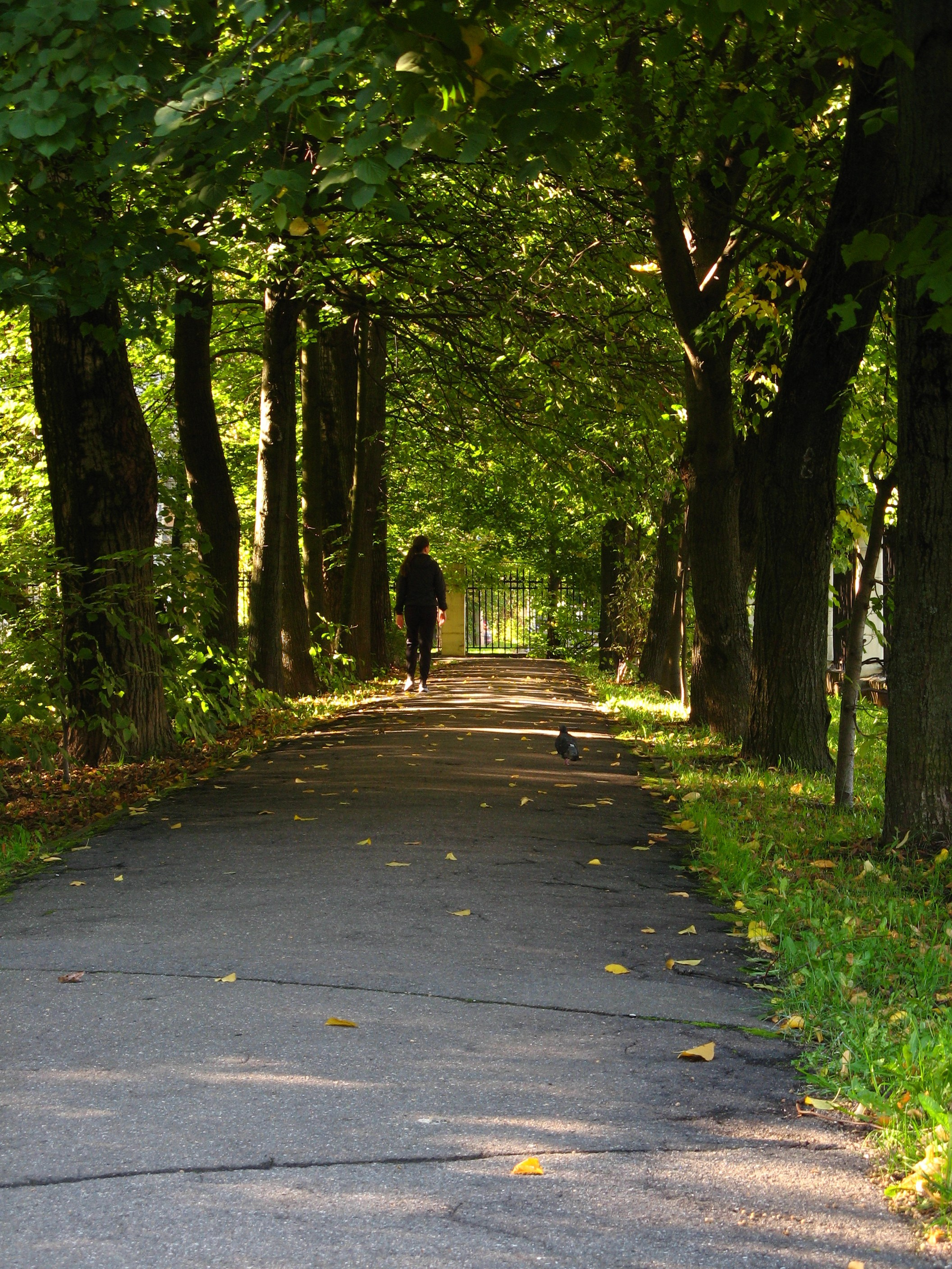 Сентябрь 2025. Den Mirov — Фотограф, Музыкант