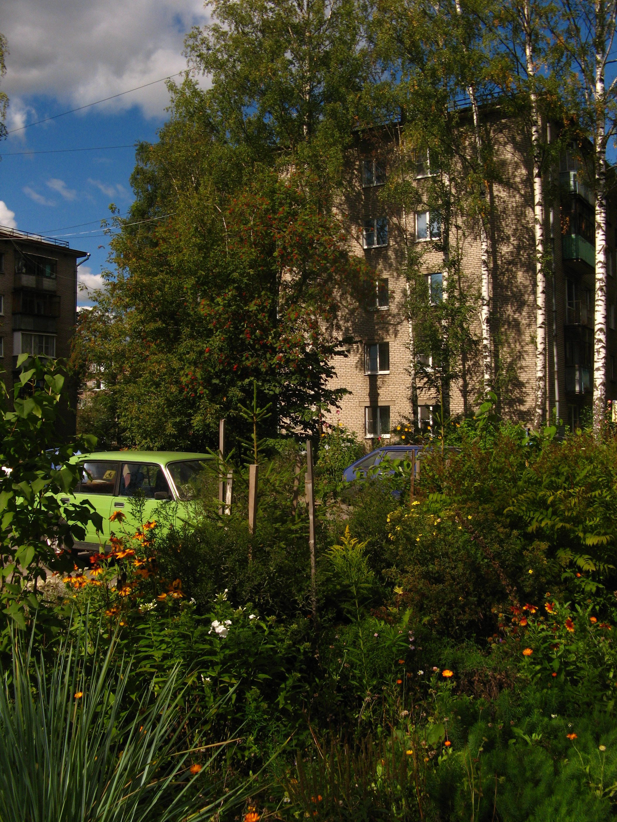 Сентябрь 2025. Den Mirov — Фотограф, Музыкант