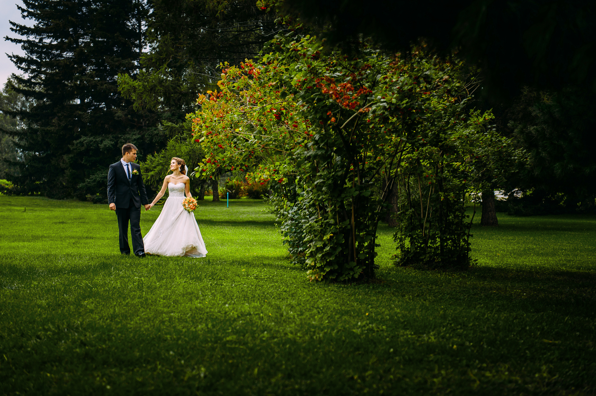 Анна и Дмитрий. Свадебный и семейный фотограф в Новосибирске Александр Счастный