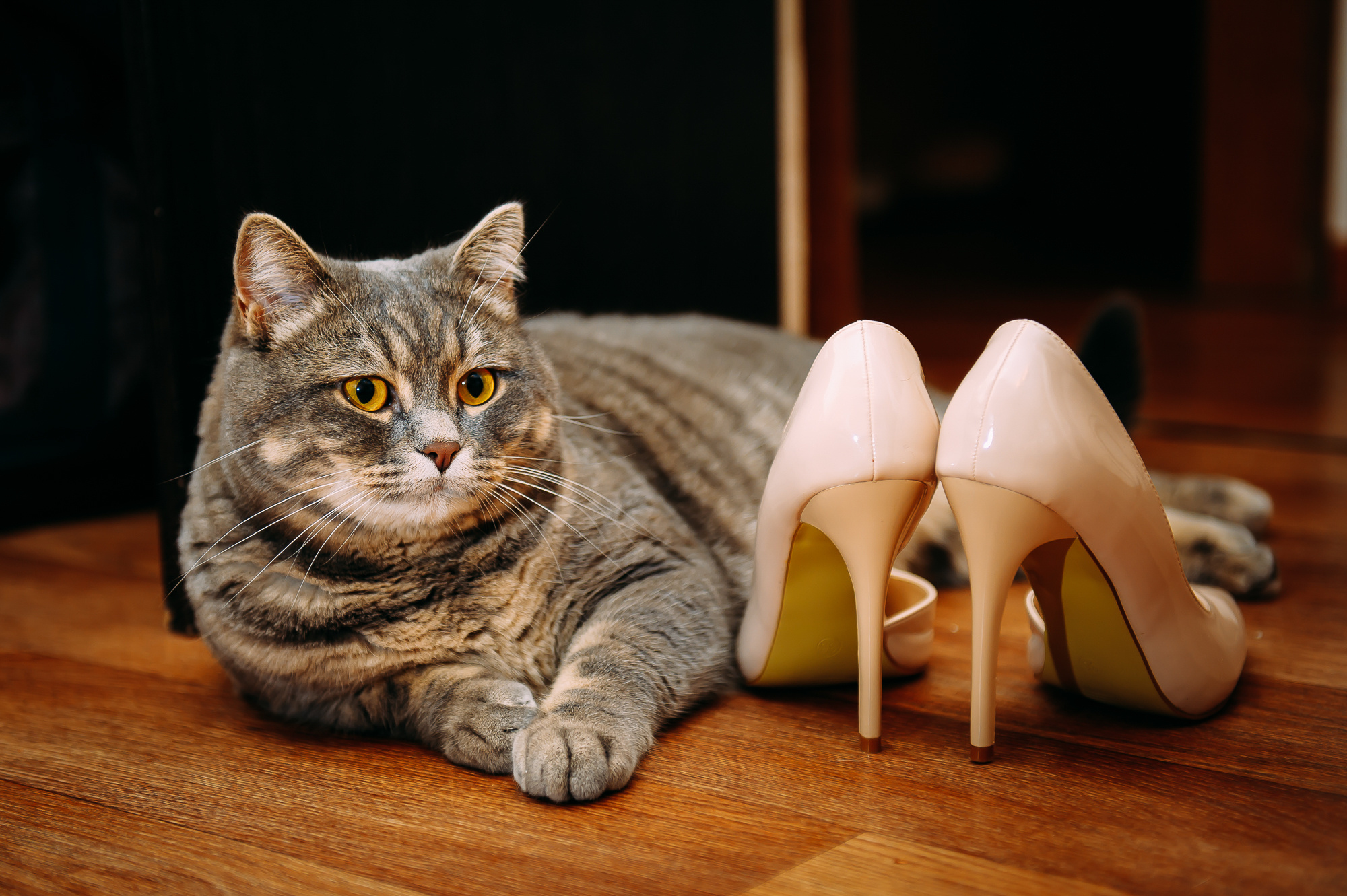 Анна и Дмитрий. Свадебный и семейный фотограф в Новосибирске Александр Счастный