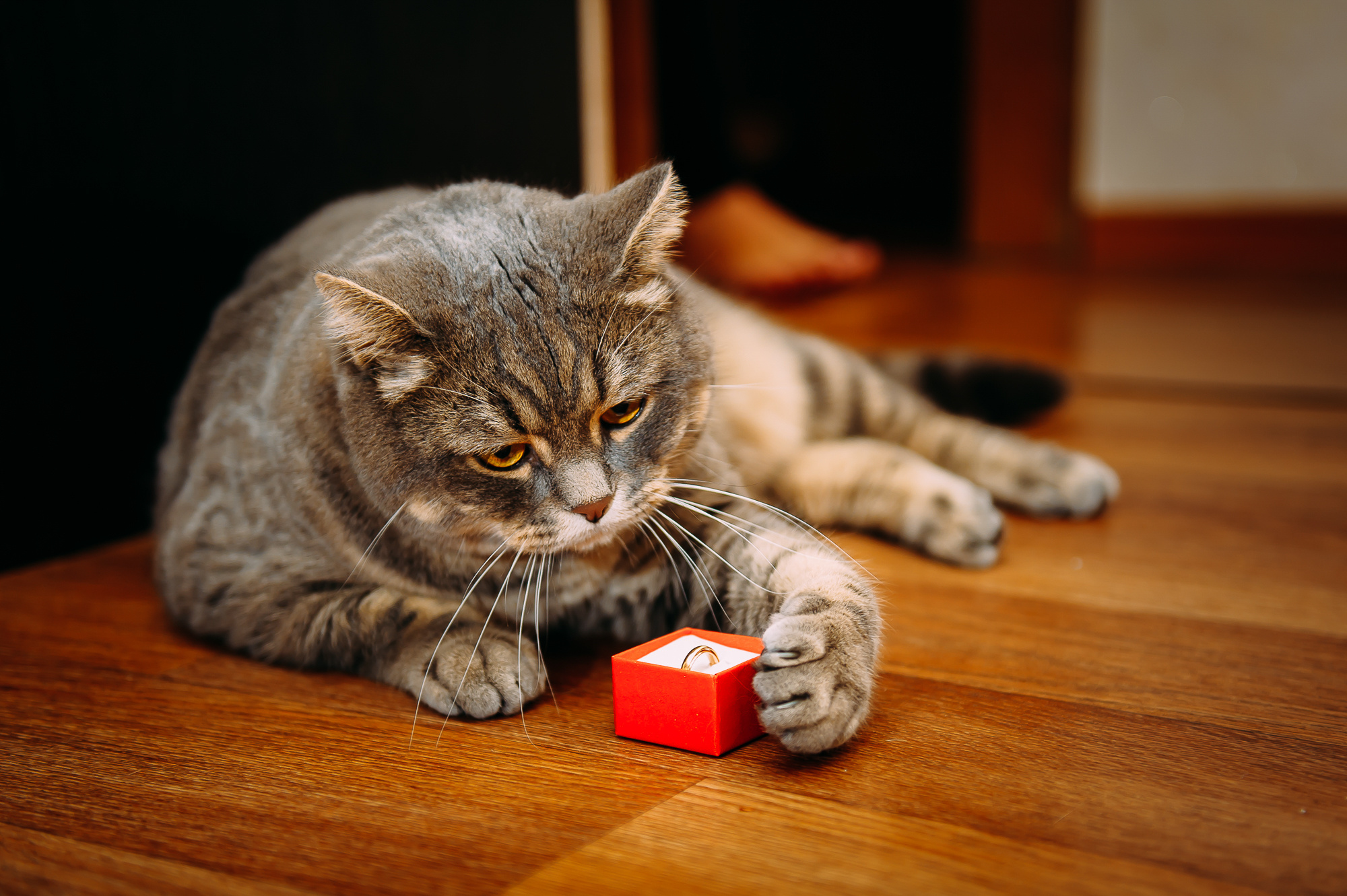 Анна и Дмитрий. Свадебный и семейный фотограф в Новосибирске Александр Счастный