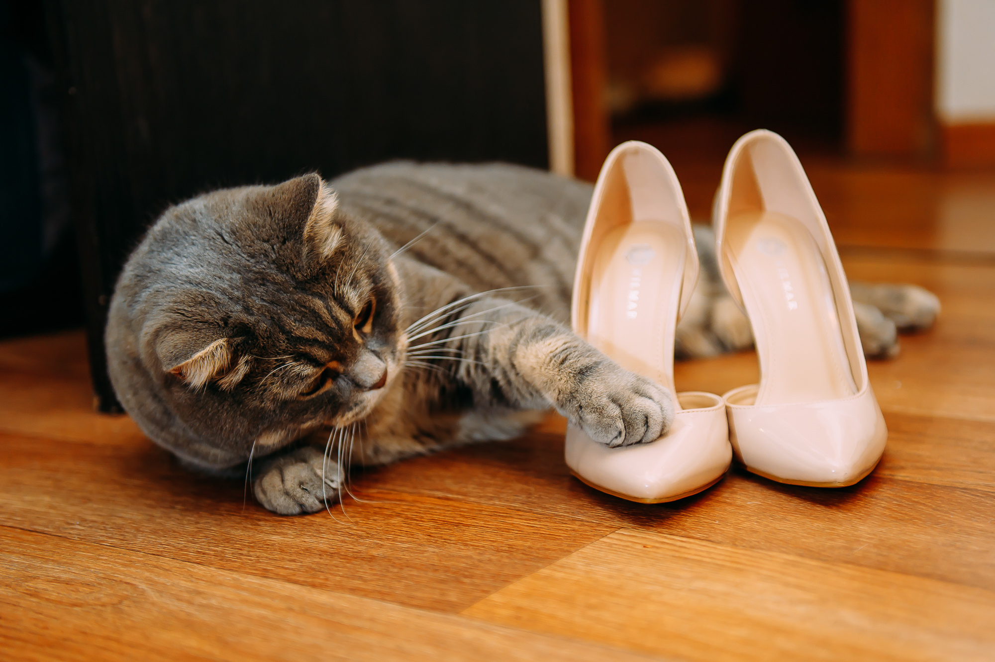 Анна и Дмитрий. Свадебный и семейный фотограф в Новосибирске Александр Счастный