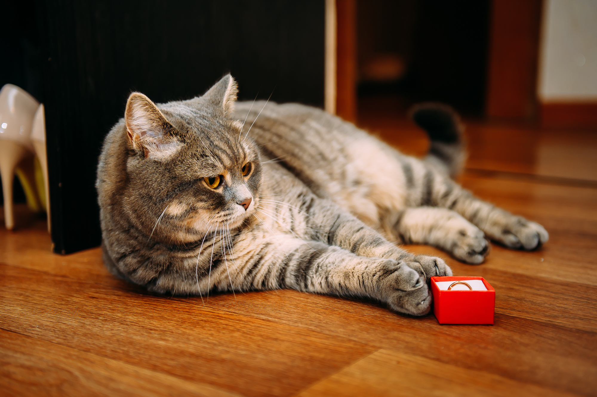 Анна и Дмитрий. Свадебный и семейный фотограф в Новосибирске Александр Счастный