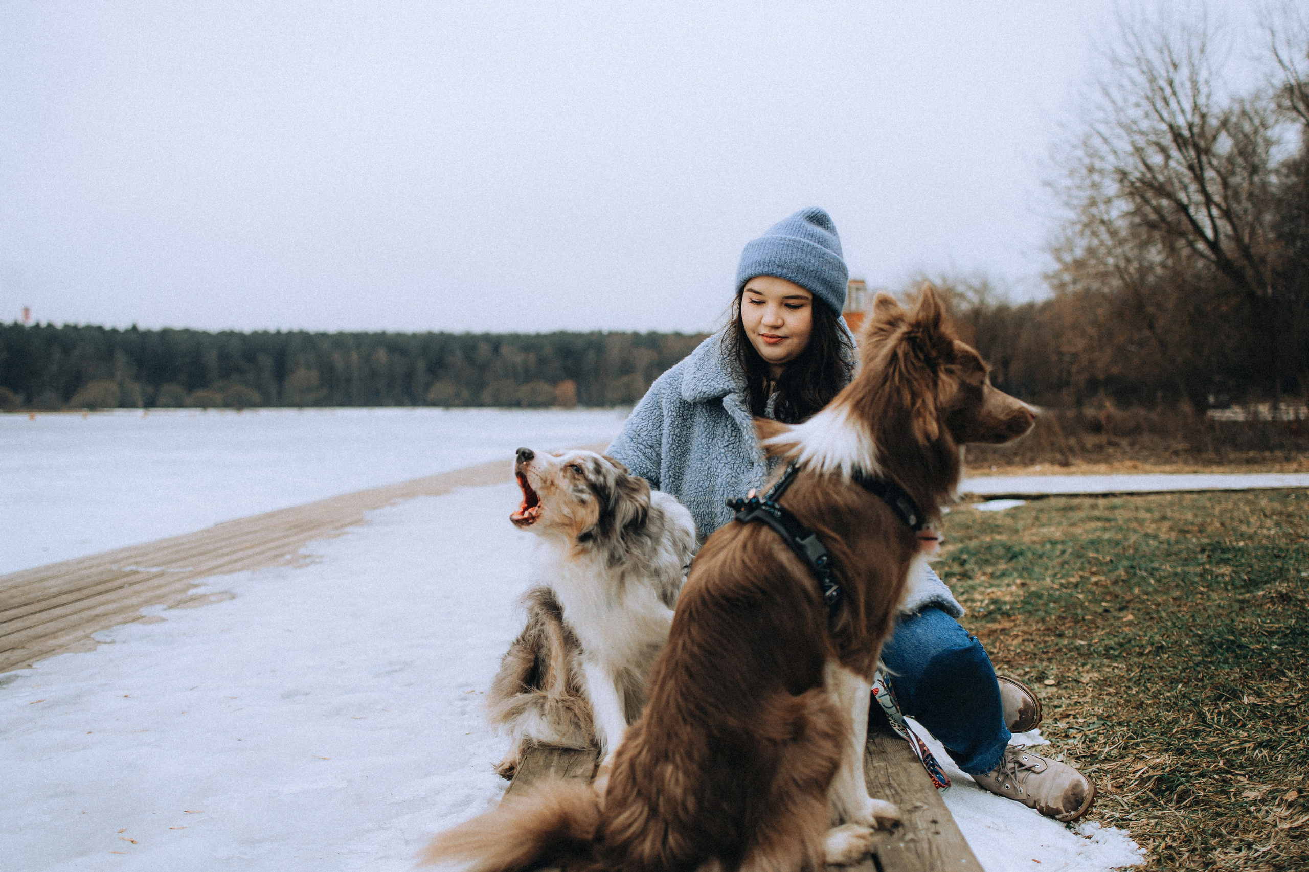 Полина, Милли и Паддингтон