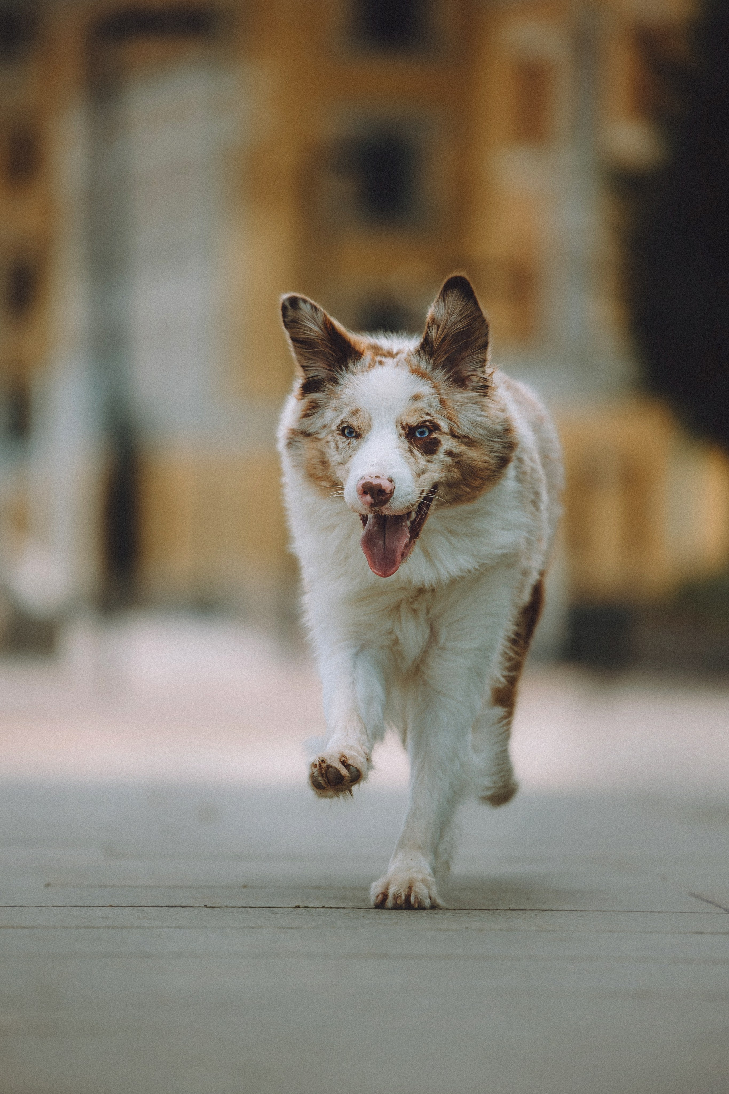 Один и его семья