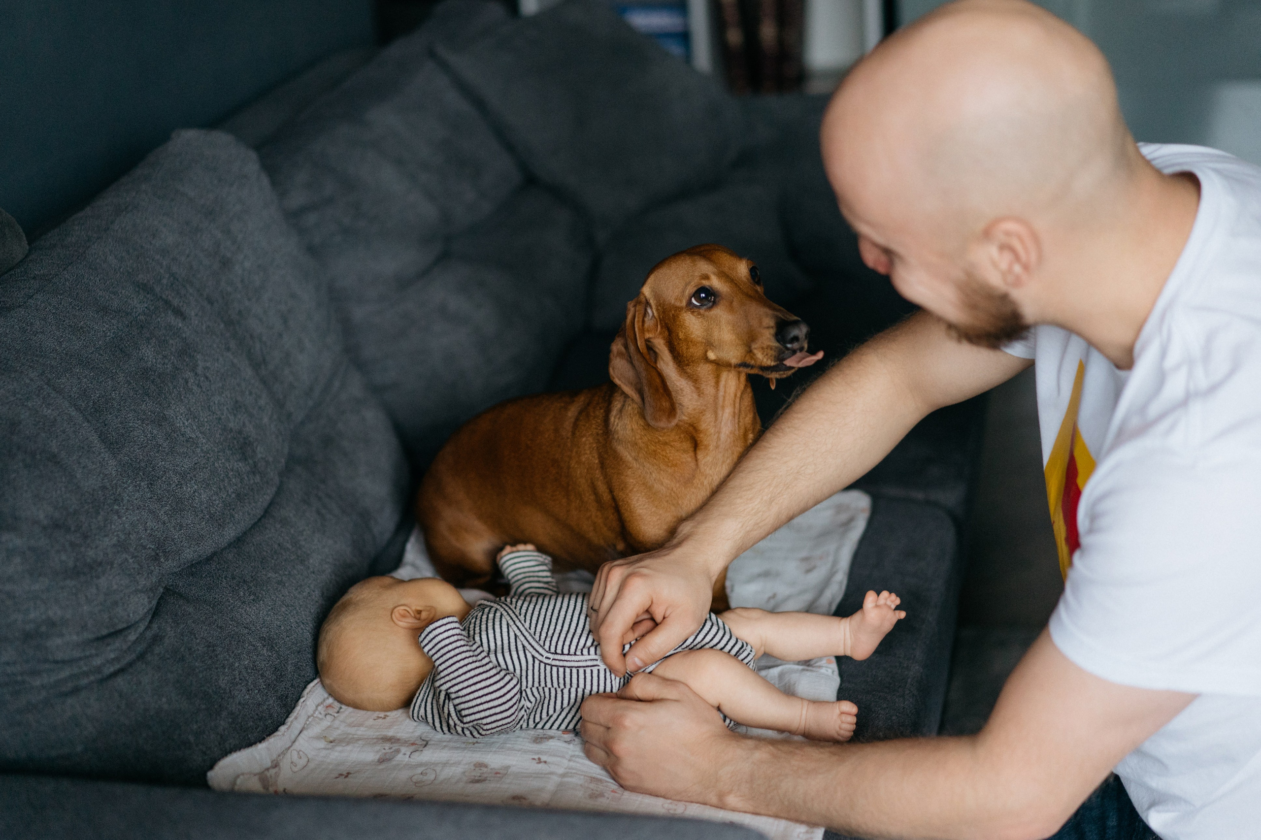 Двойняшки. Свадебный и семейный фотограф в Калининграде Анастасия Гриценко