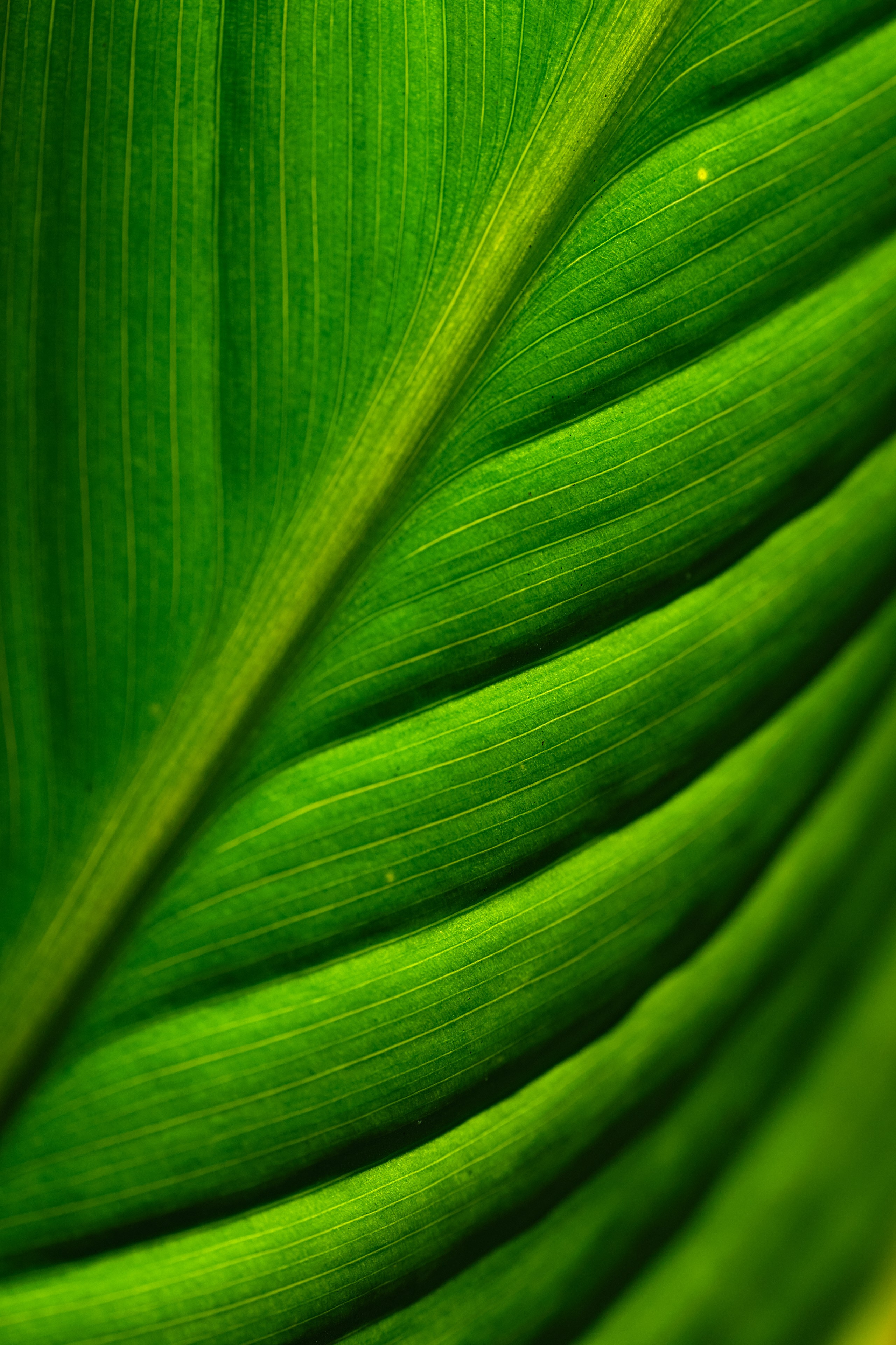Nature. Рекламная фото и видео съёмка в Екатеринбурге