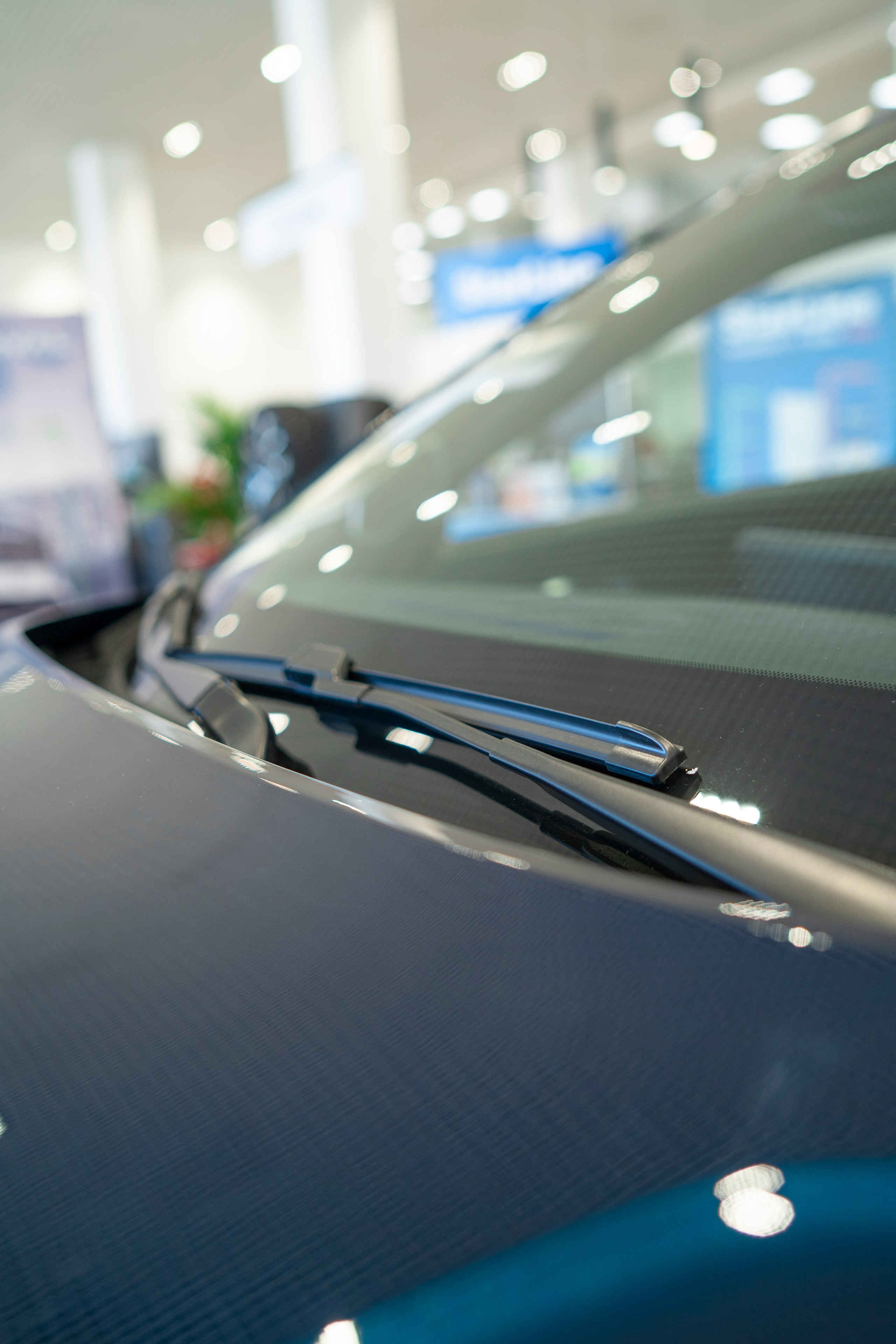 Haval F7| КАН АВТО. Felixtones