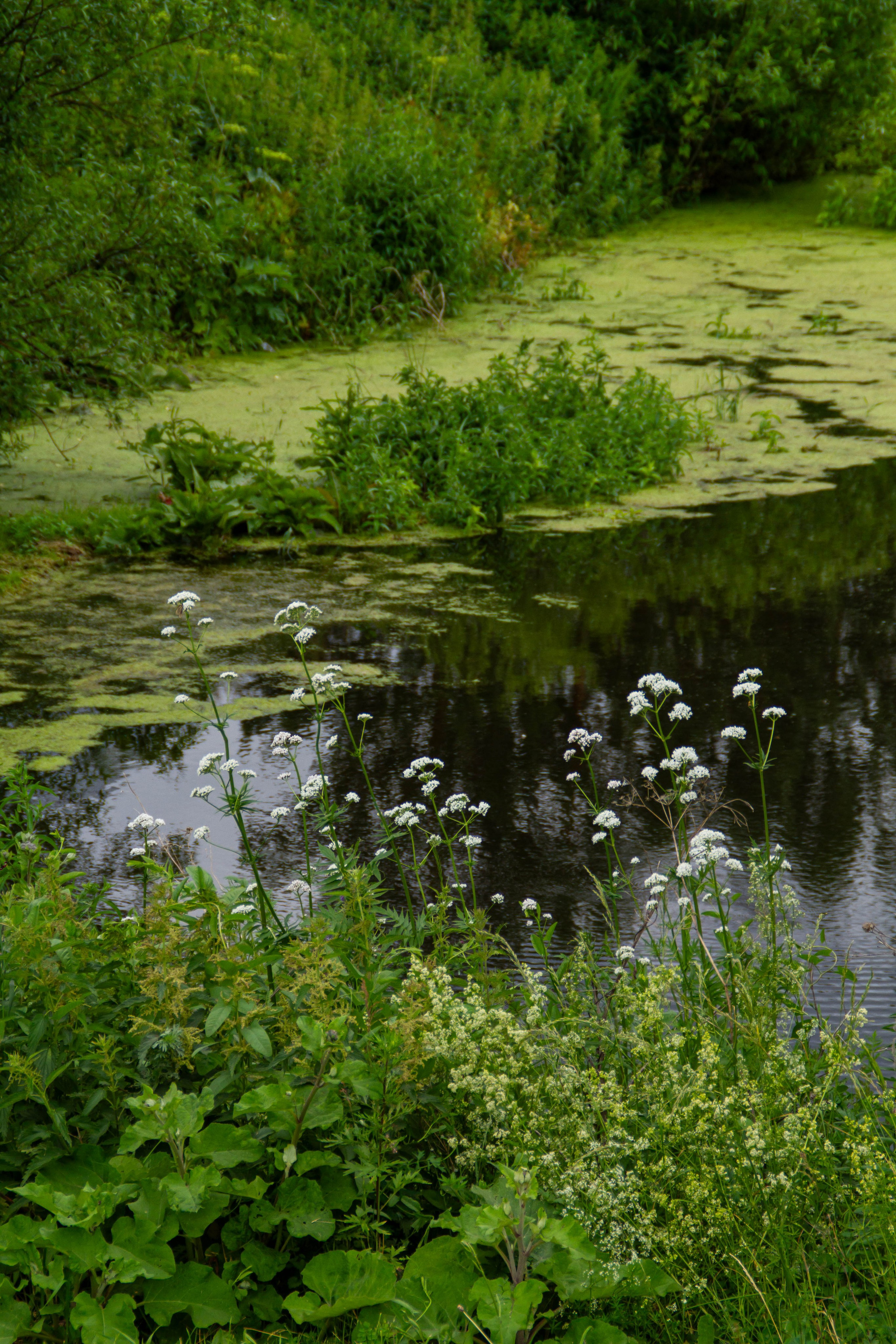 Праздник Солнцестояния 2025 х Культура Екатеринбурга