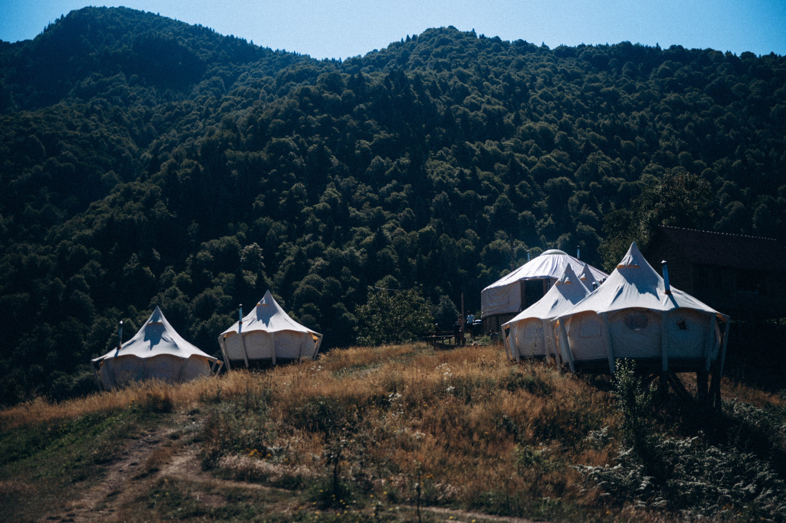 Верхняя Аджария, Грузия 🇬🇪. Anita_photo