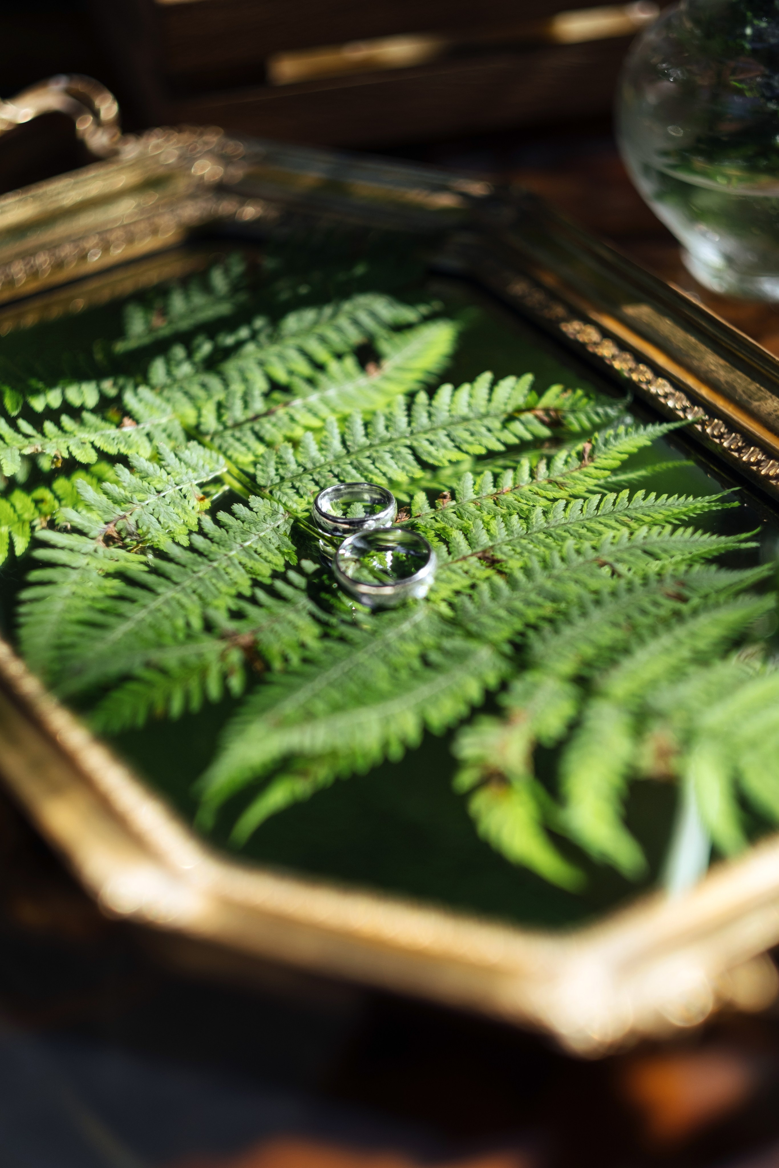 Кот и Дракон. Свадебный Видеограф Фотограф в Сочи