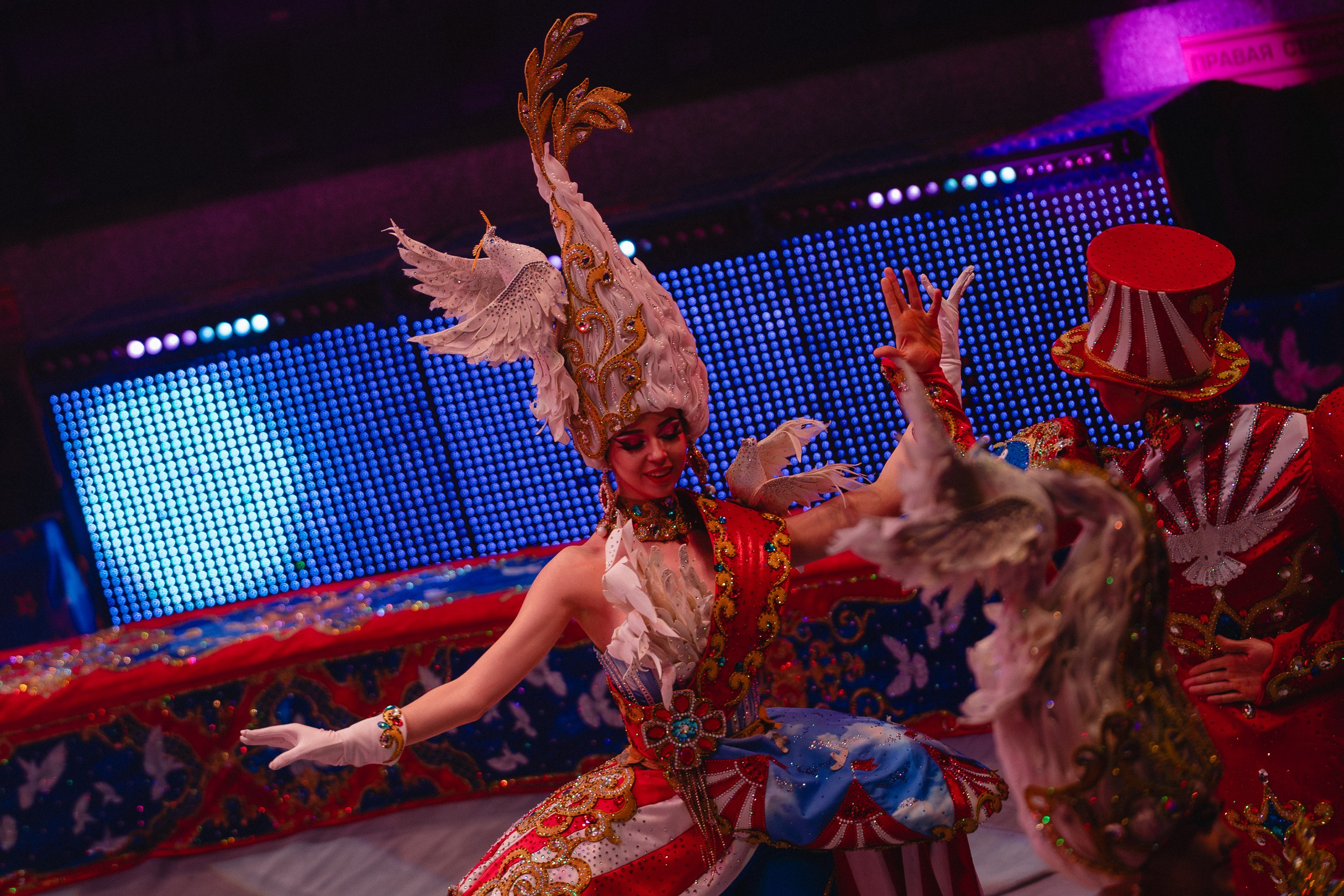 5 Континентов — Пресс-показ в Новосибирском Цирке. Воробьева Ксения — Спортивный и танцевальный фотограф Новосибирск