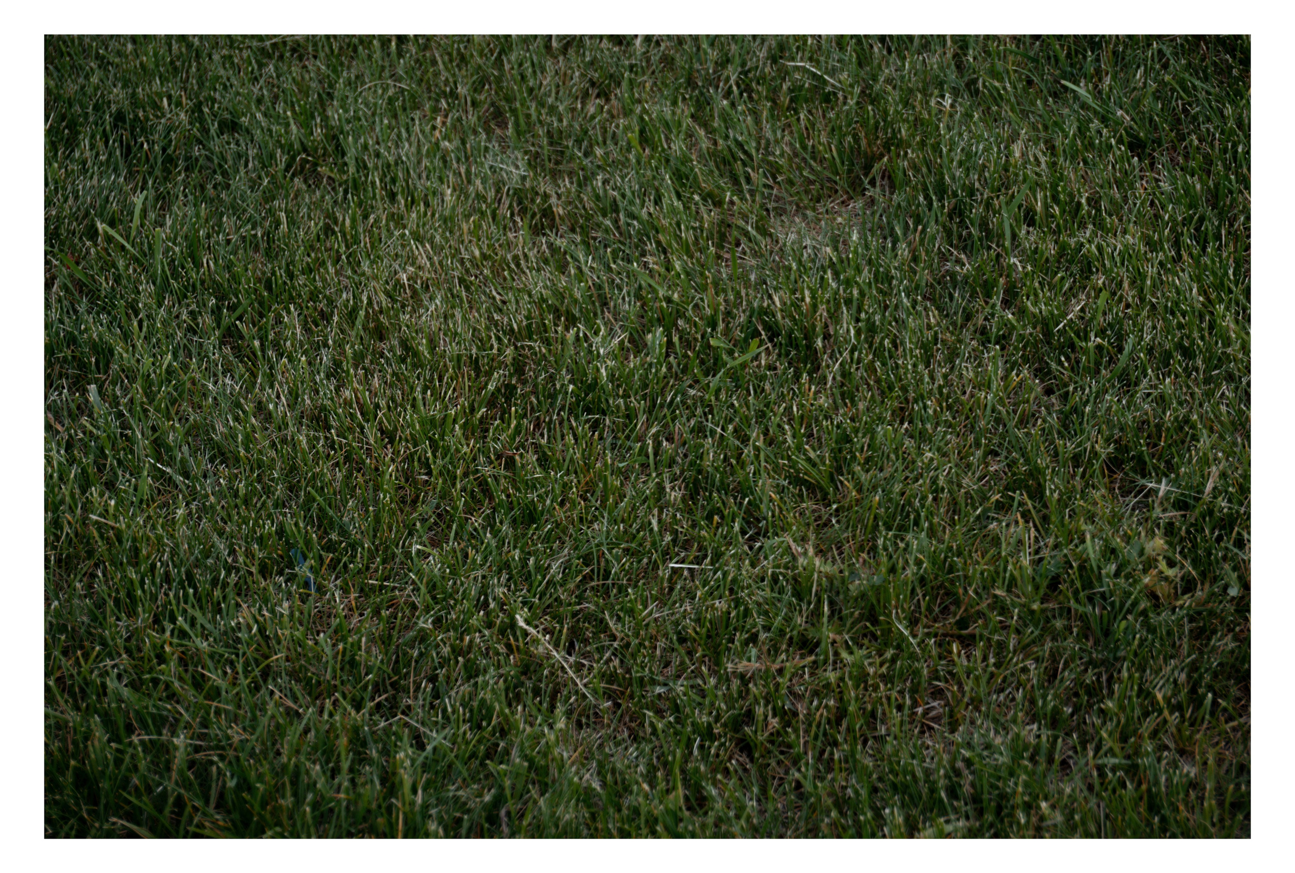 02.07.2025 | Красноярск. Kuznetsov | Фотограф в Красноярске