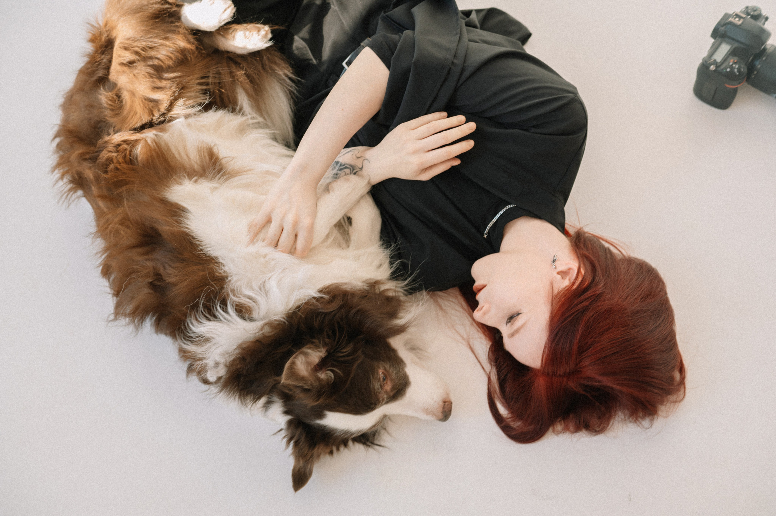 Аня и бордер-колли Вик (Королев, 2025). Анна Пушина, фотограф, Москва, Королев, Пушкино