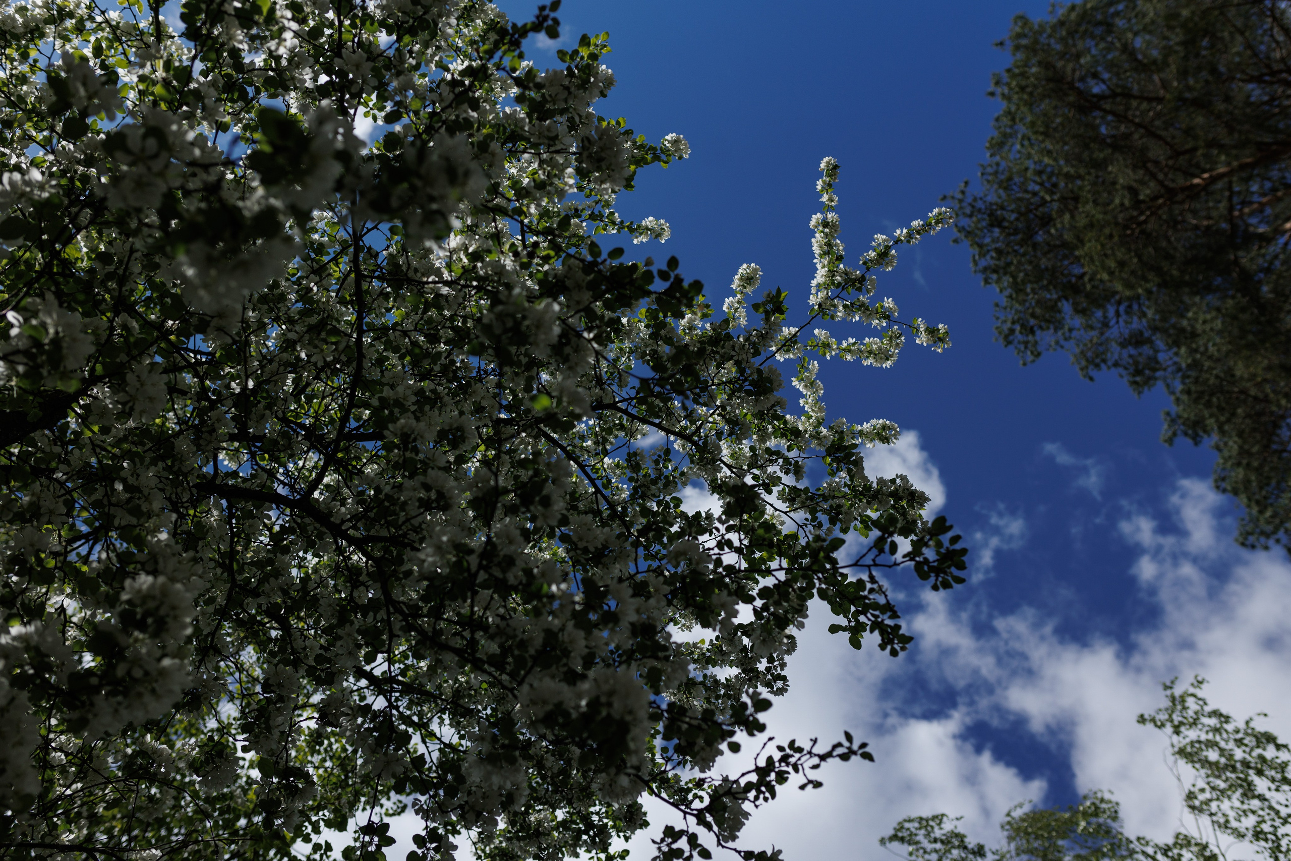 База отдыха «Металлург». Фотограф городских и семейных событий в Нижнем Новгороде Артем Карпухин