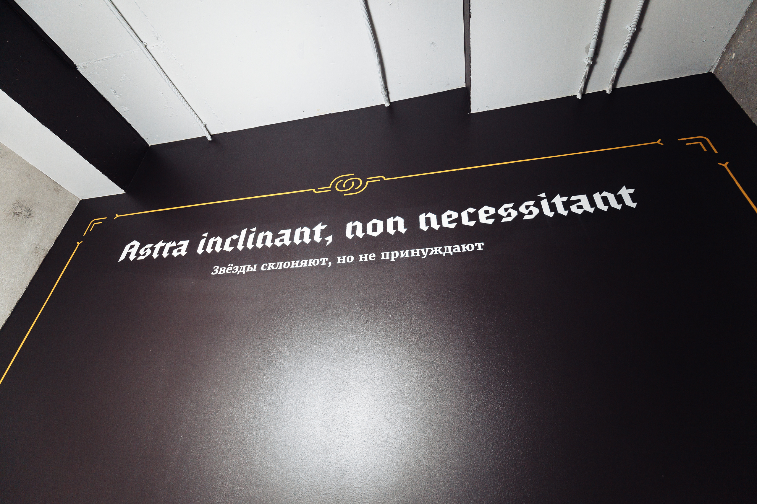 Admitad|Project. Свадебный и репортажный фотограф Виталий Кислицын