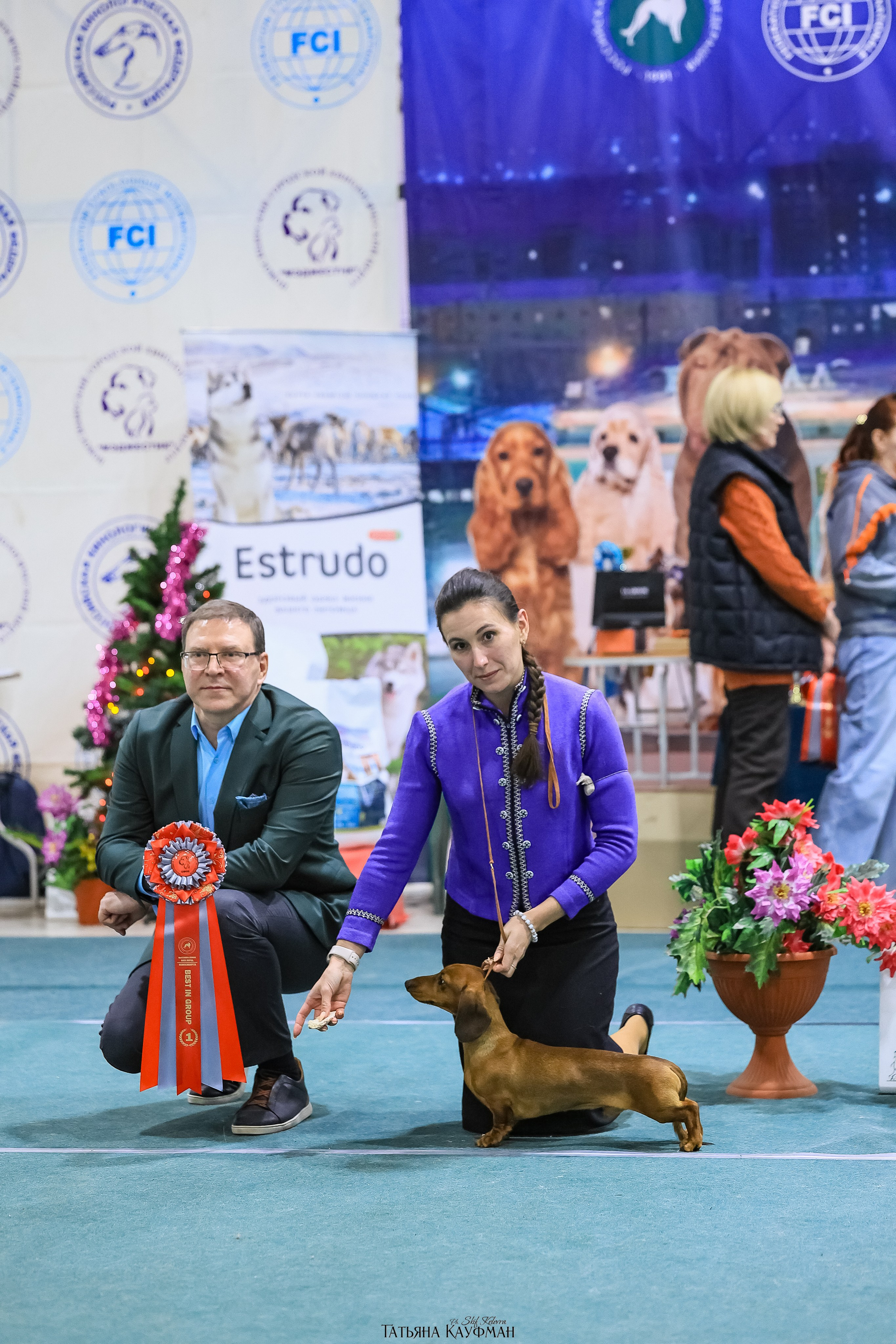 6-7.12.25 — 1-4 Национальные выставки собак в Новосибирске (2х рейтинговые). Фотограф Анималист из Новосибирска Татьяна Кауфман