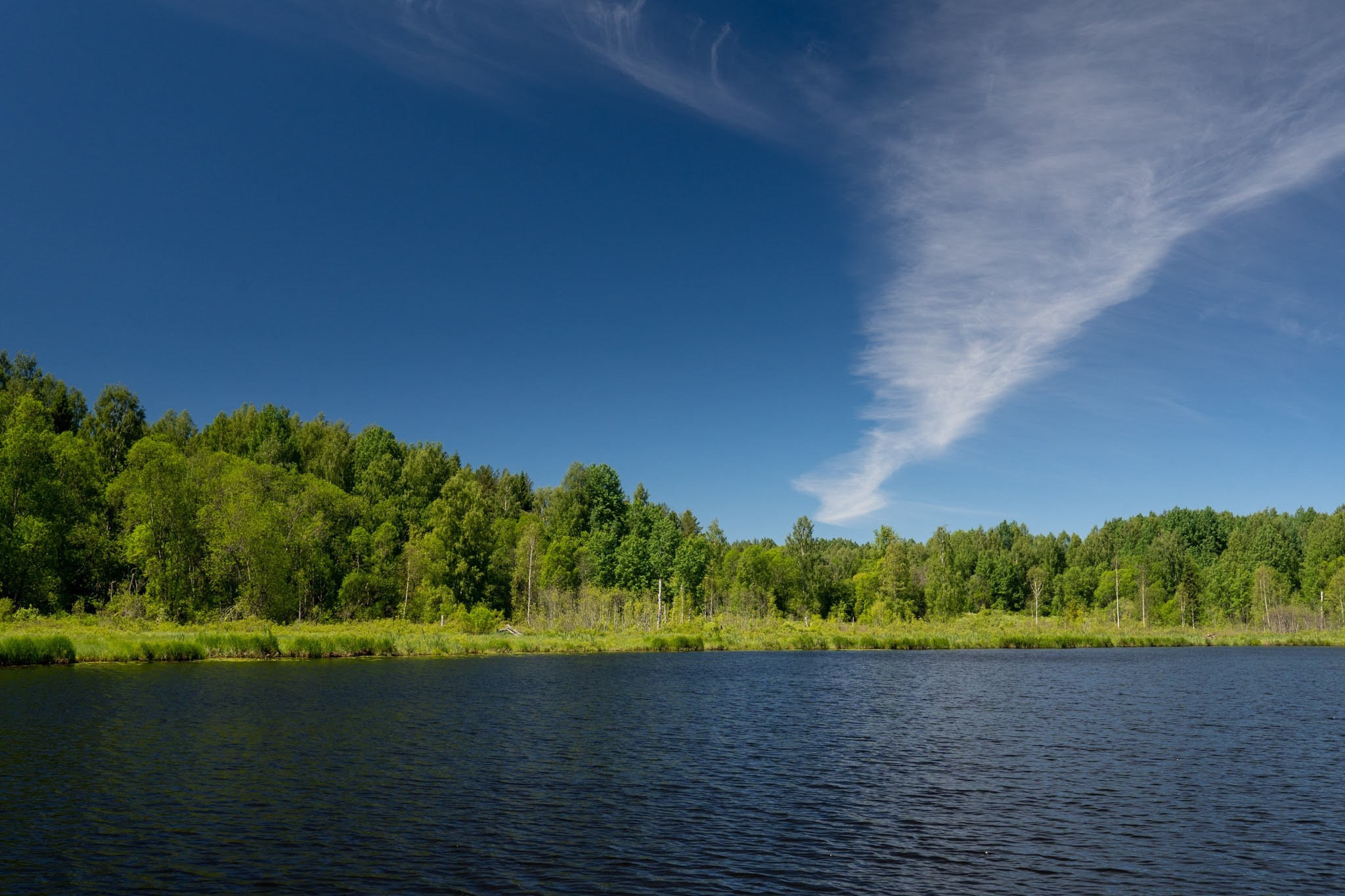 Кострома, Асташово, Восстановленный терем в псевдо- русском стиле. Фотограф Василий Буланов