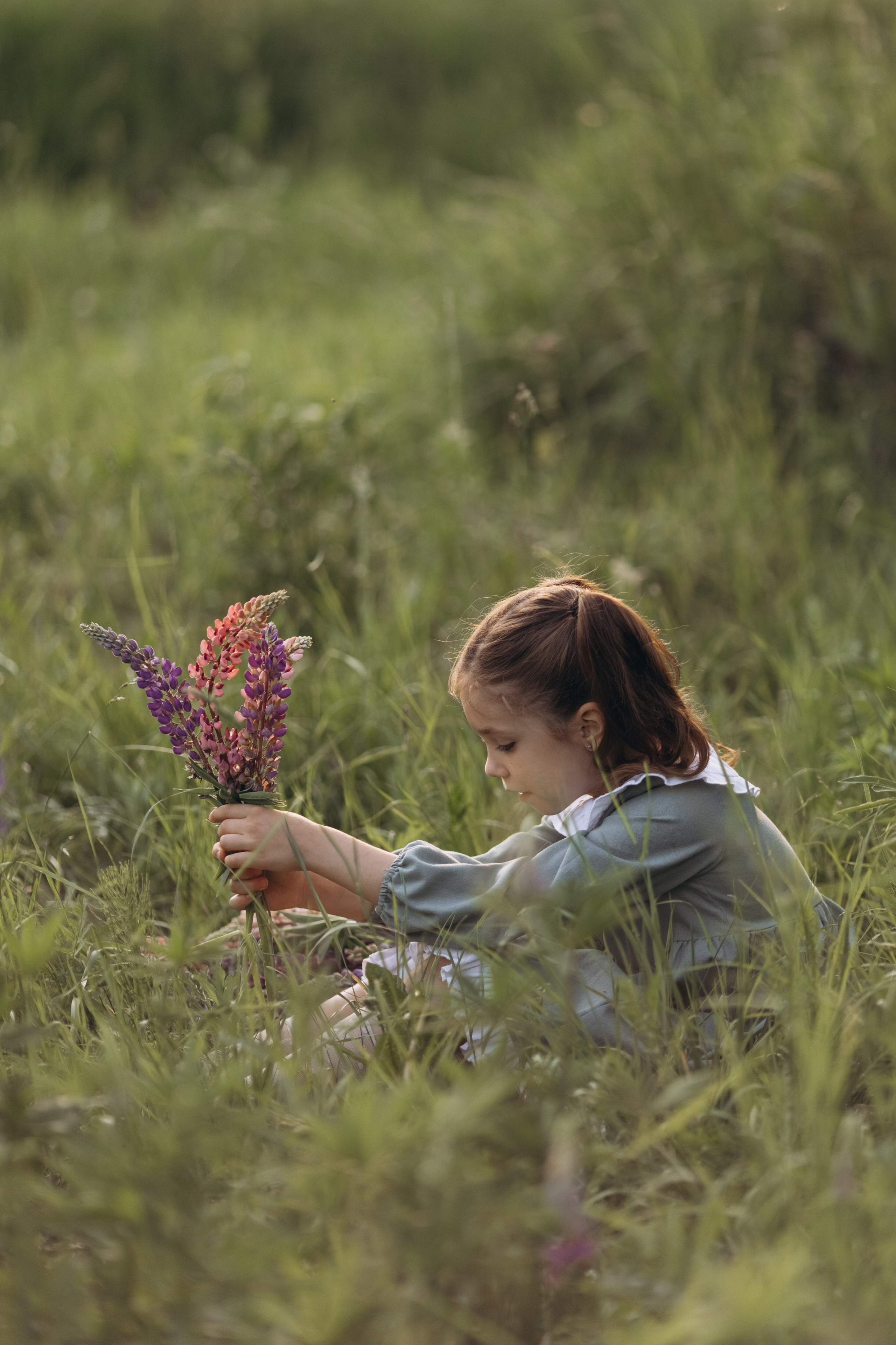В люпинах. Фотограф Людмила Оюн