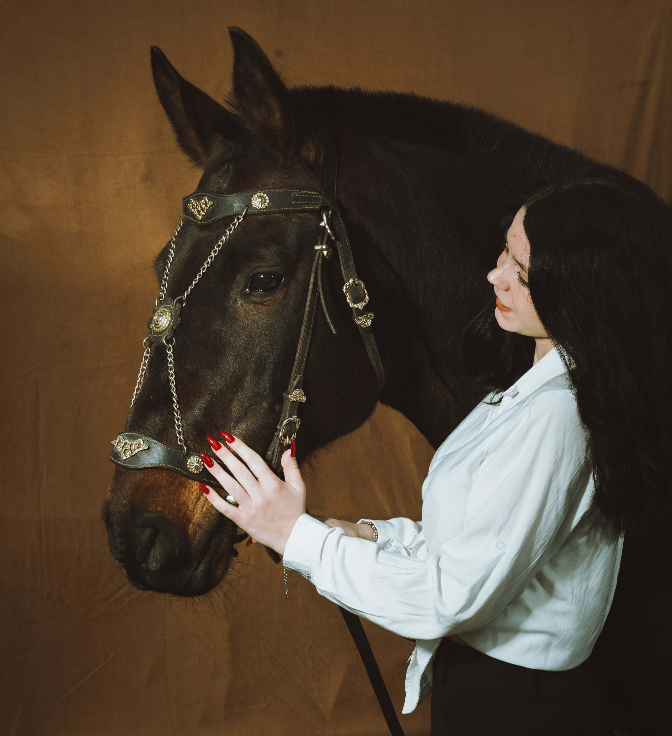 Аренда лошадей для фотосессии в Петрозаводске. Фотограф Варвара Ермоленко