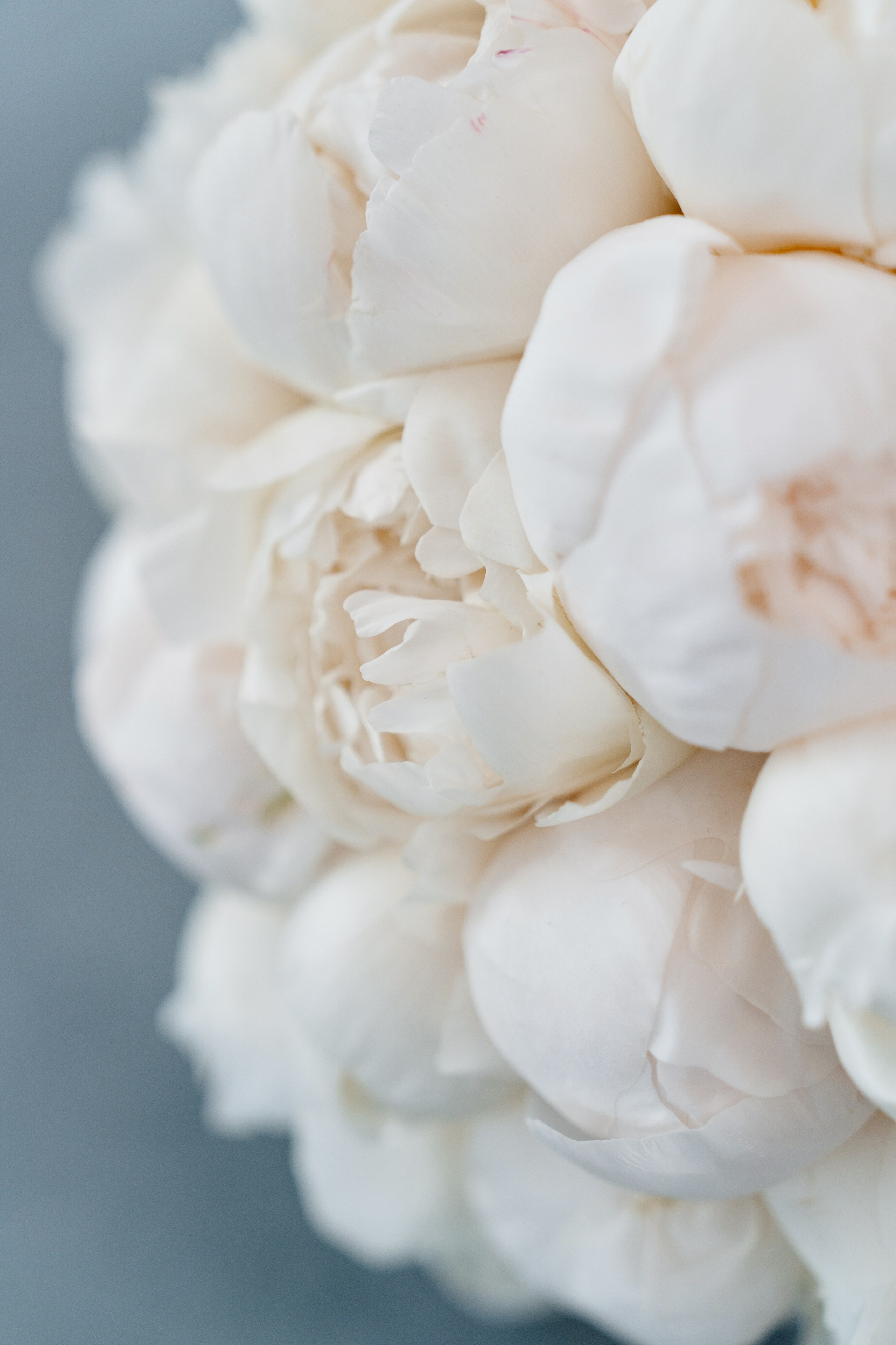 Сергей и Элина. Свадебный и репортажный фотограф в Москве Андрей Вайман