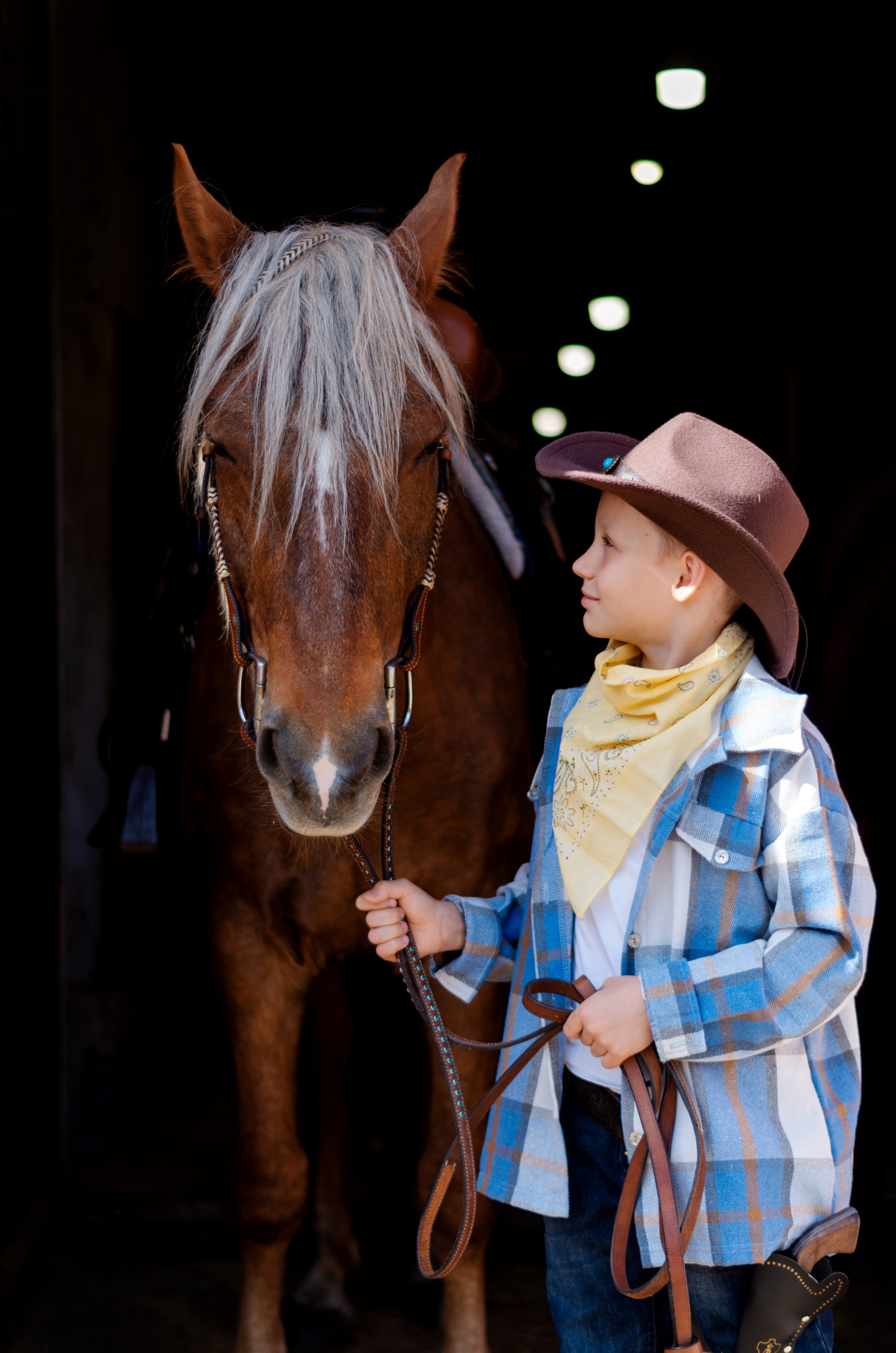 Фотограф Марина Доглядная Челябинск фотосессии с лошадьми, мотоциклами