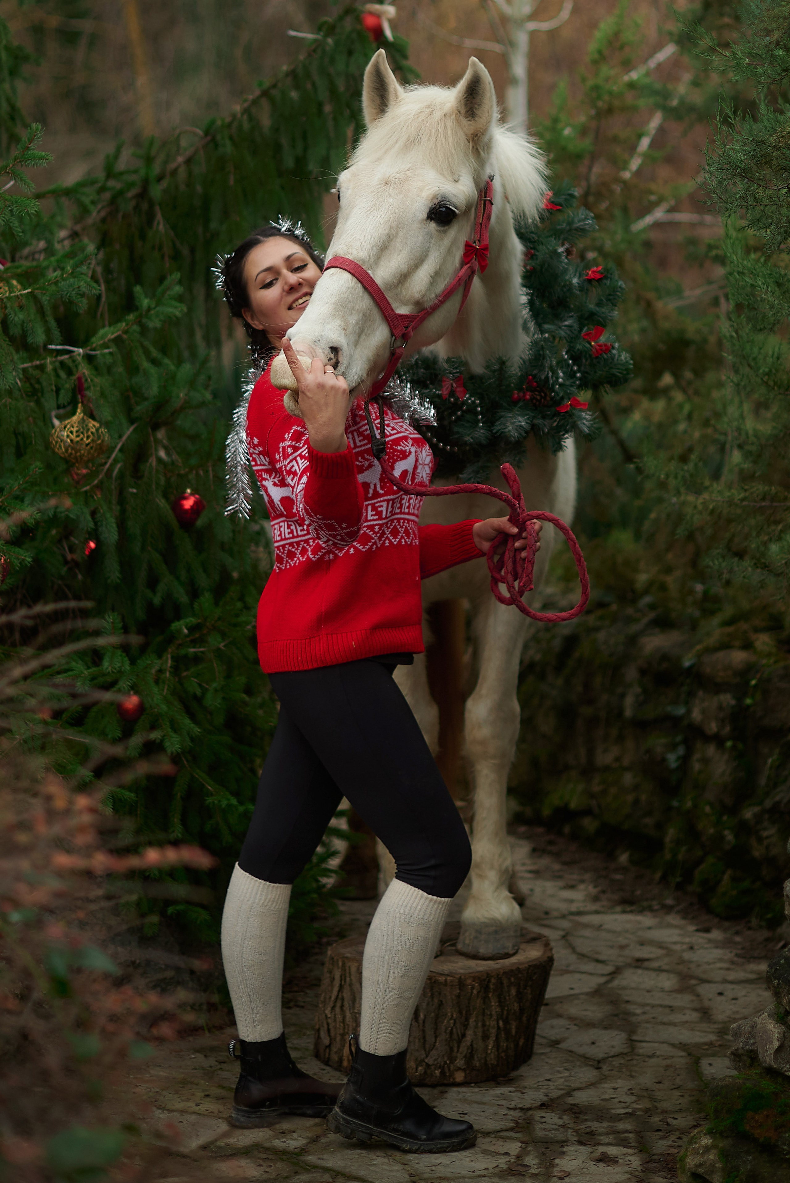 Диана, Гром и Мандаринка. Фотограф в Севастополе