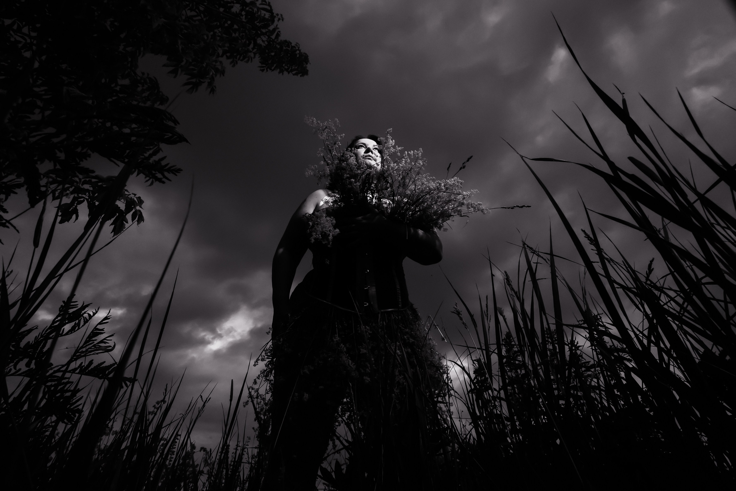 Фотографии в низком ключе