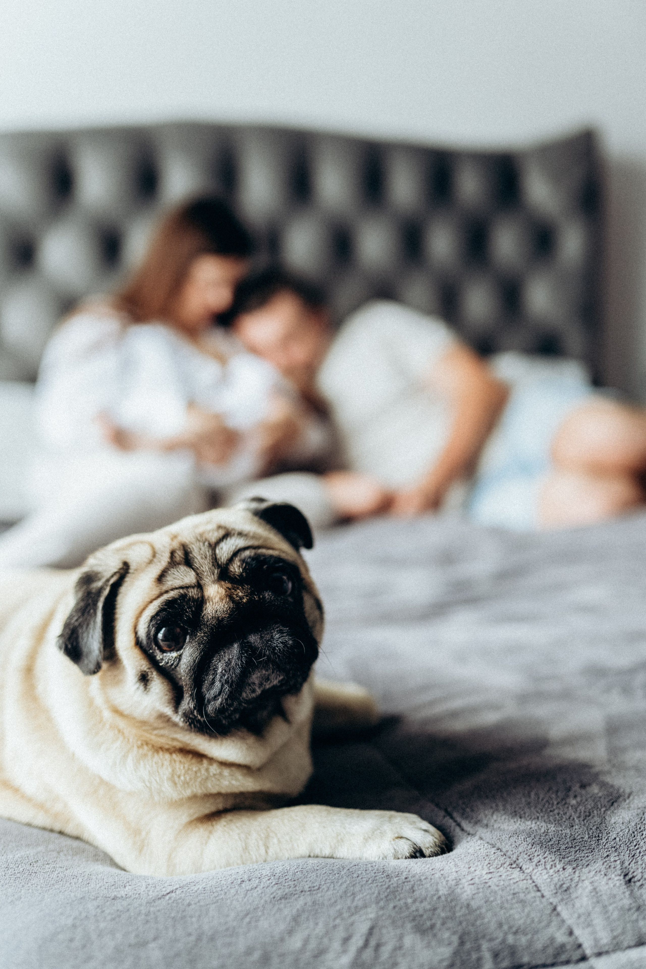 Малыш Федор. Фотограф новорожденных малышей Одинцово/Москва Юлия Скок