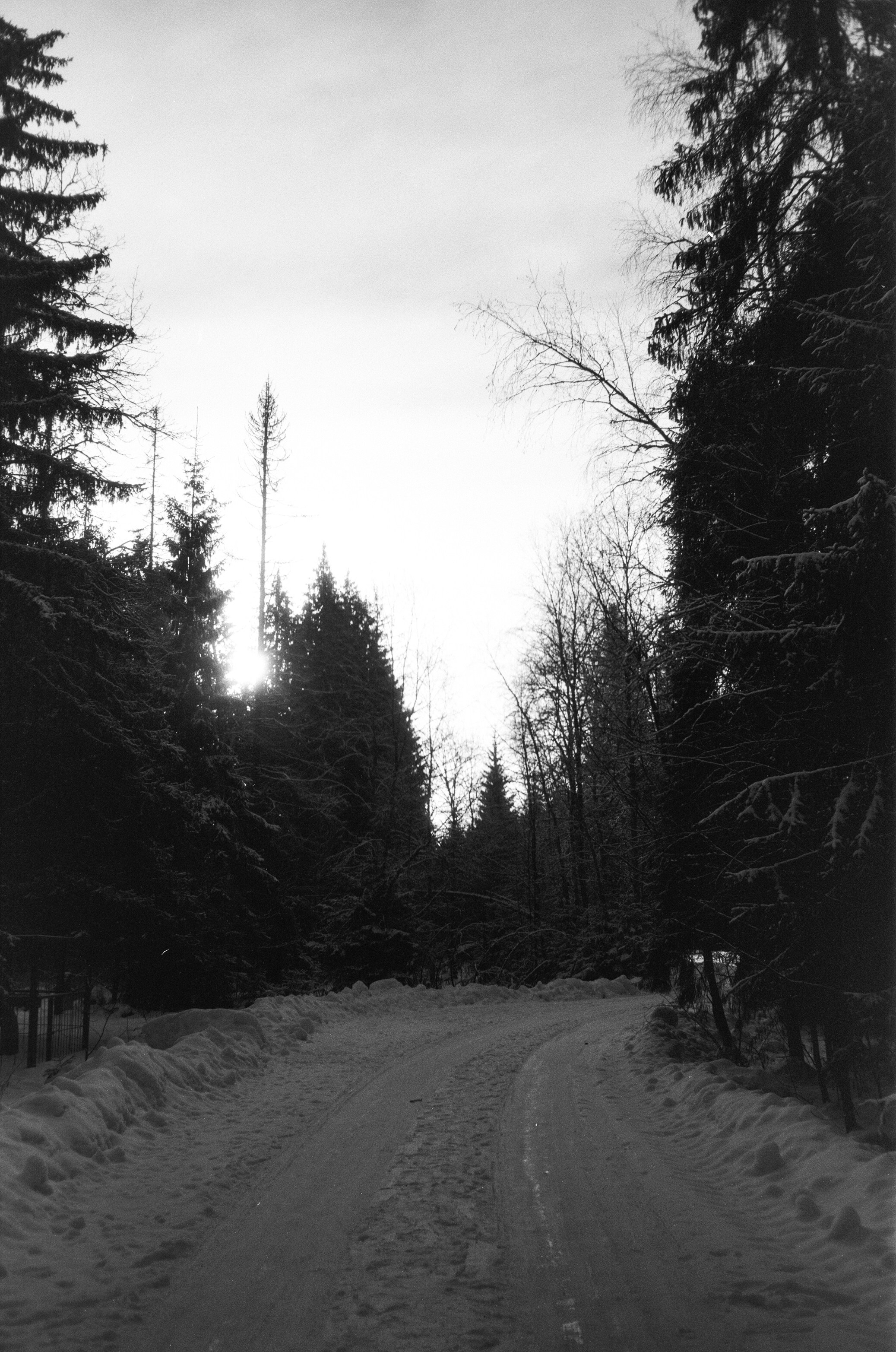 Minox 35GT / Тасма Т-25 ISO 100 / Давыдовское, Лукино