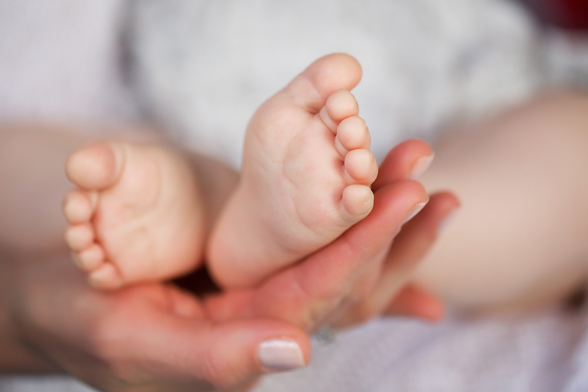 Семейная фотография. Павел Иванов. Создание профессионального медиаконтента. Москва