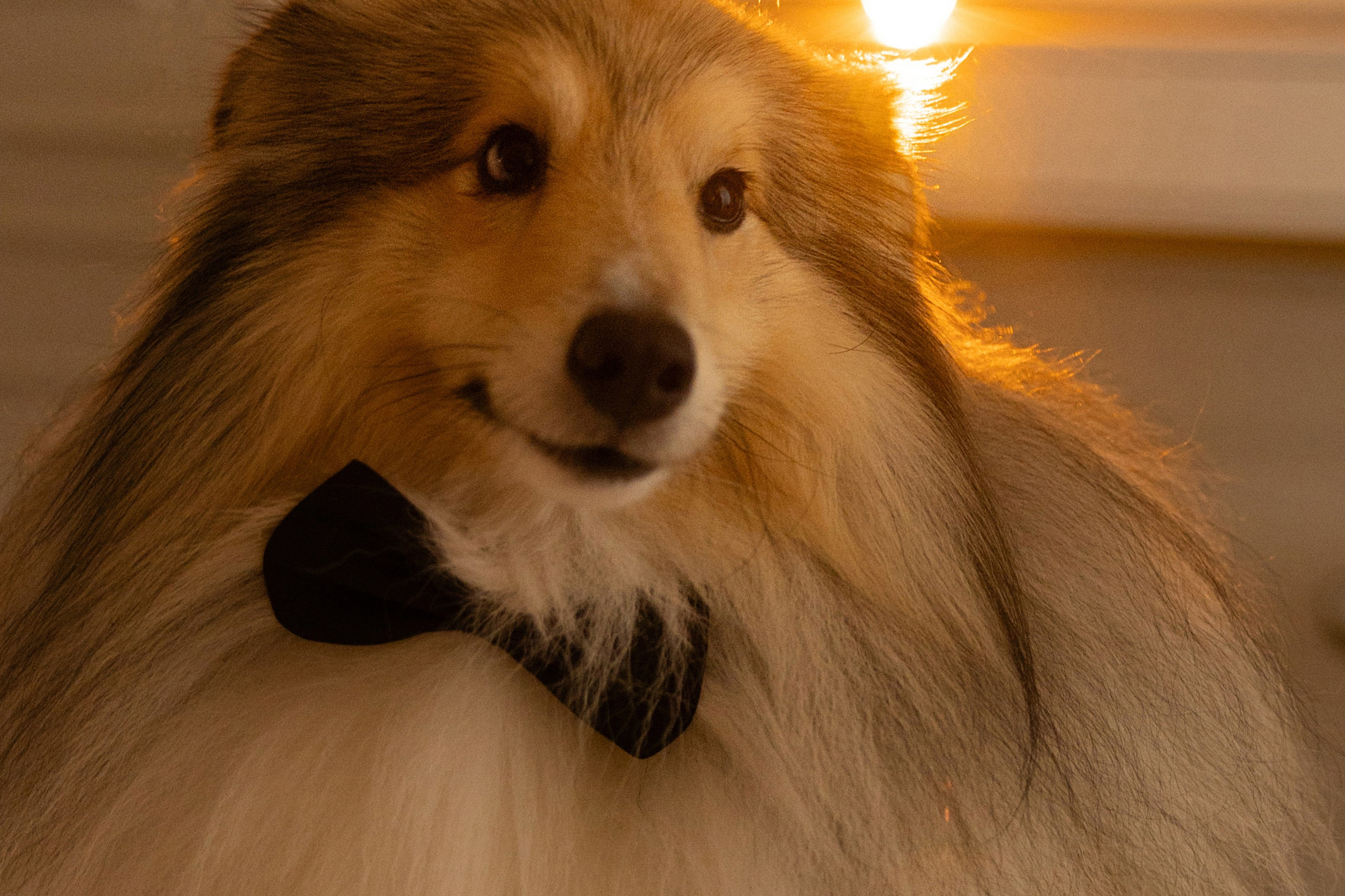 Wedding. Главная