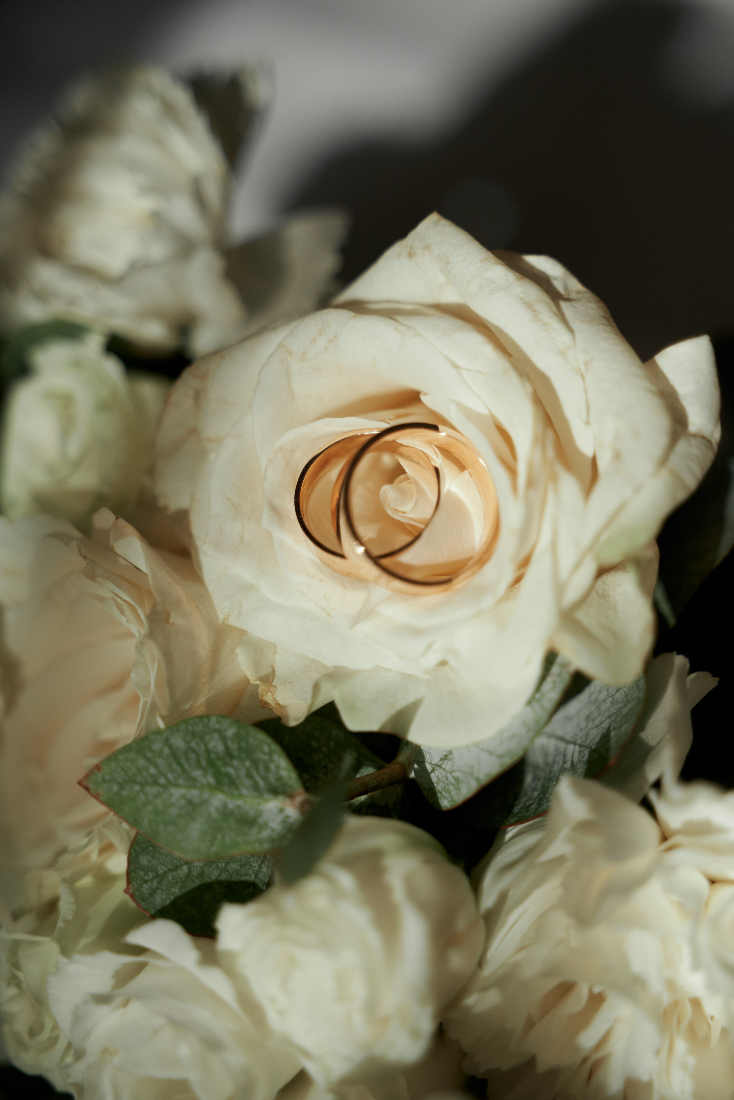 Александра и Максим. Свадебный фотограф Александр Браво