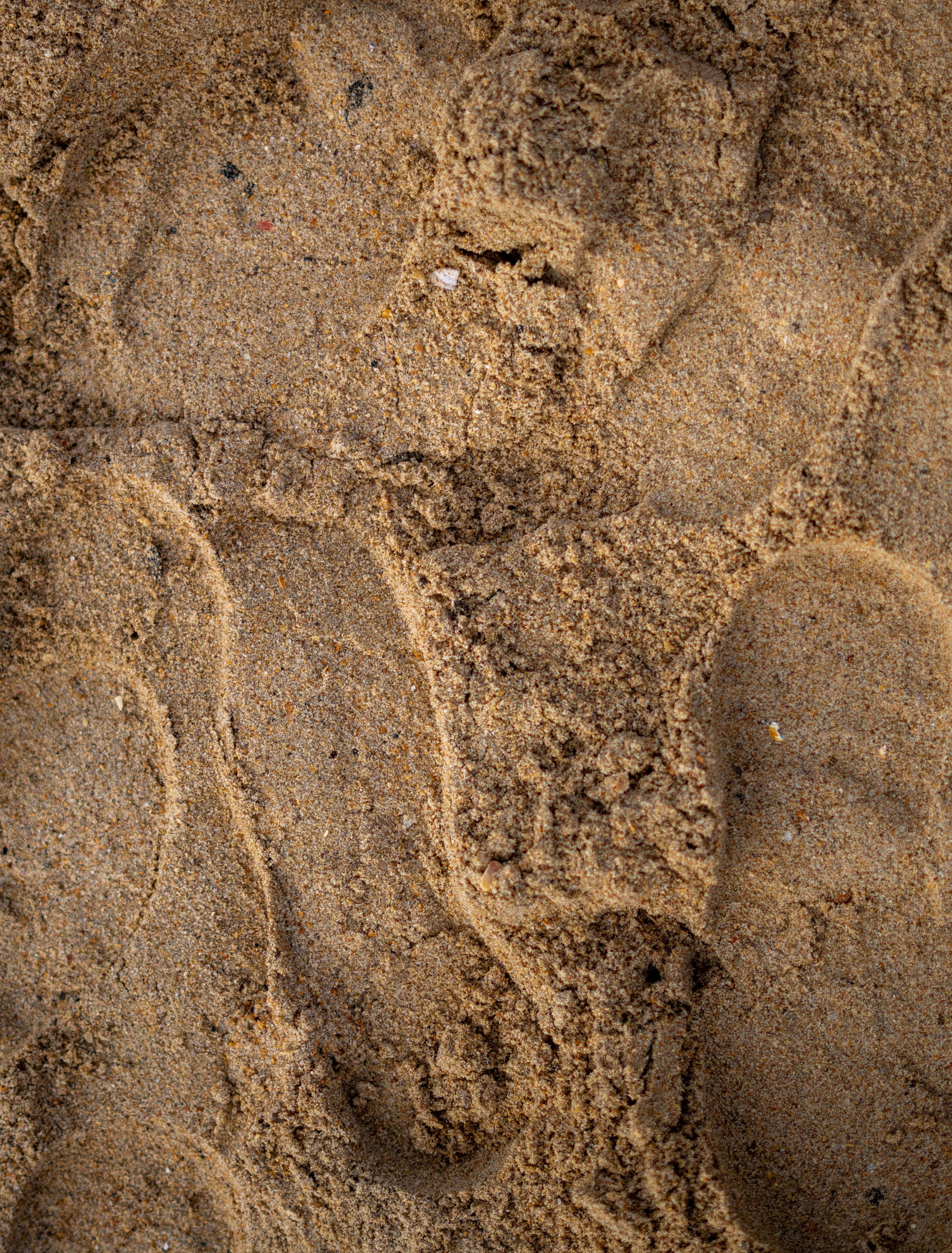 Разлив мазута в Керченском проливе. Фотограф Тбилиси / Photographer Tbilisi