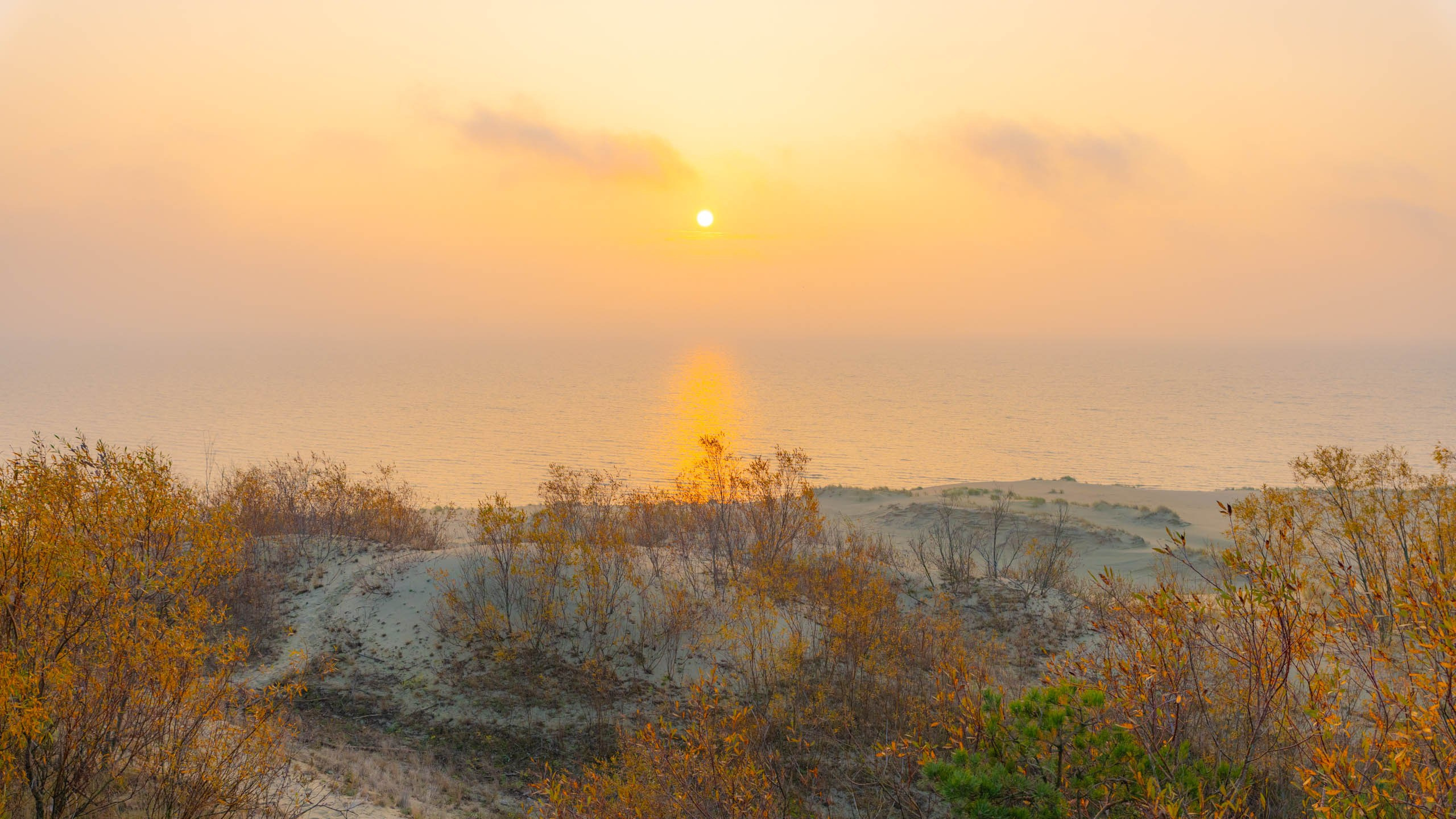 2024 10 Зеленоградск, Светлогорск, Куршская коса. Фотографии