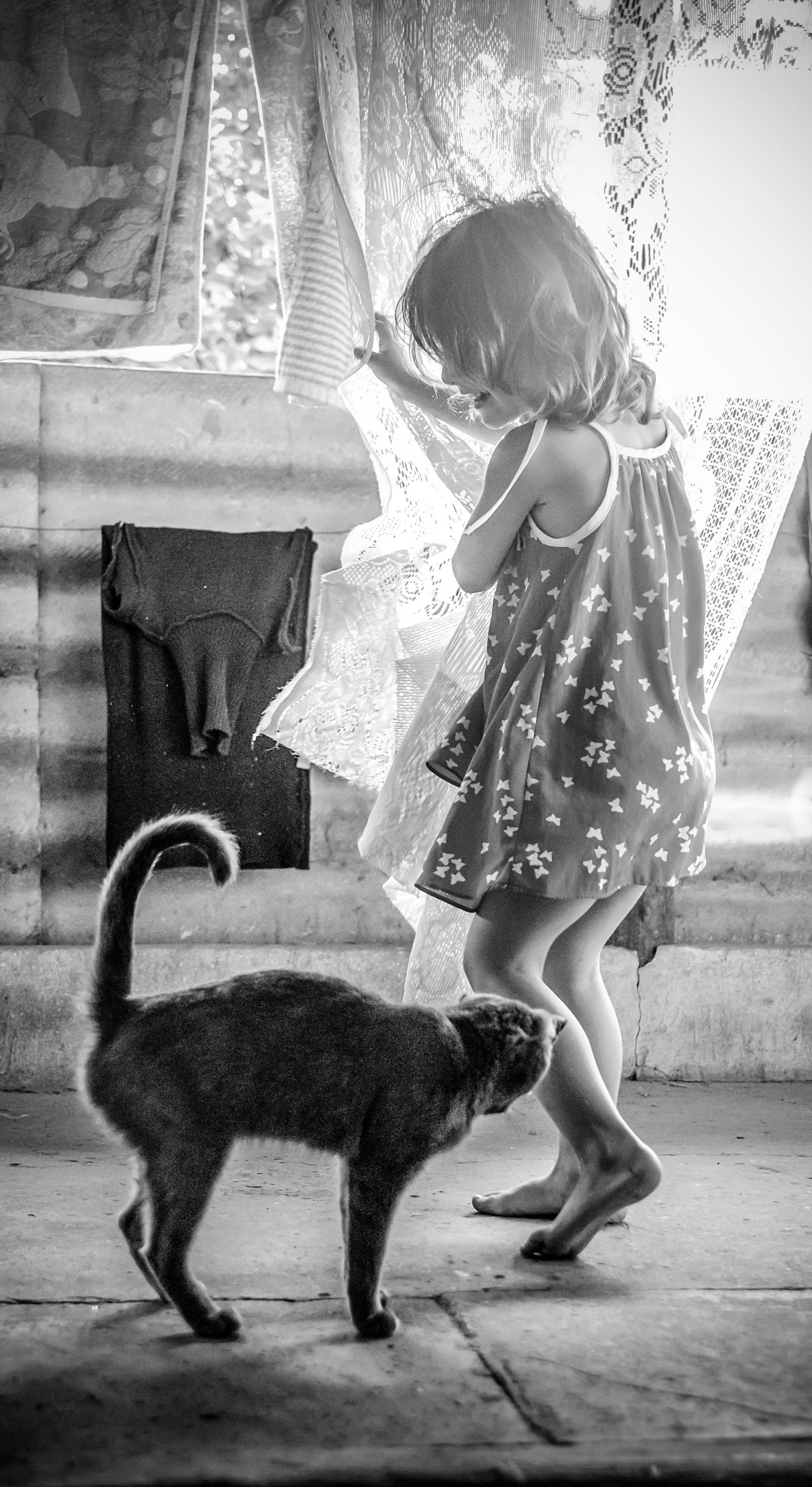 Серии «Кошка». Мультижанровый фотограф Дарья Strebog