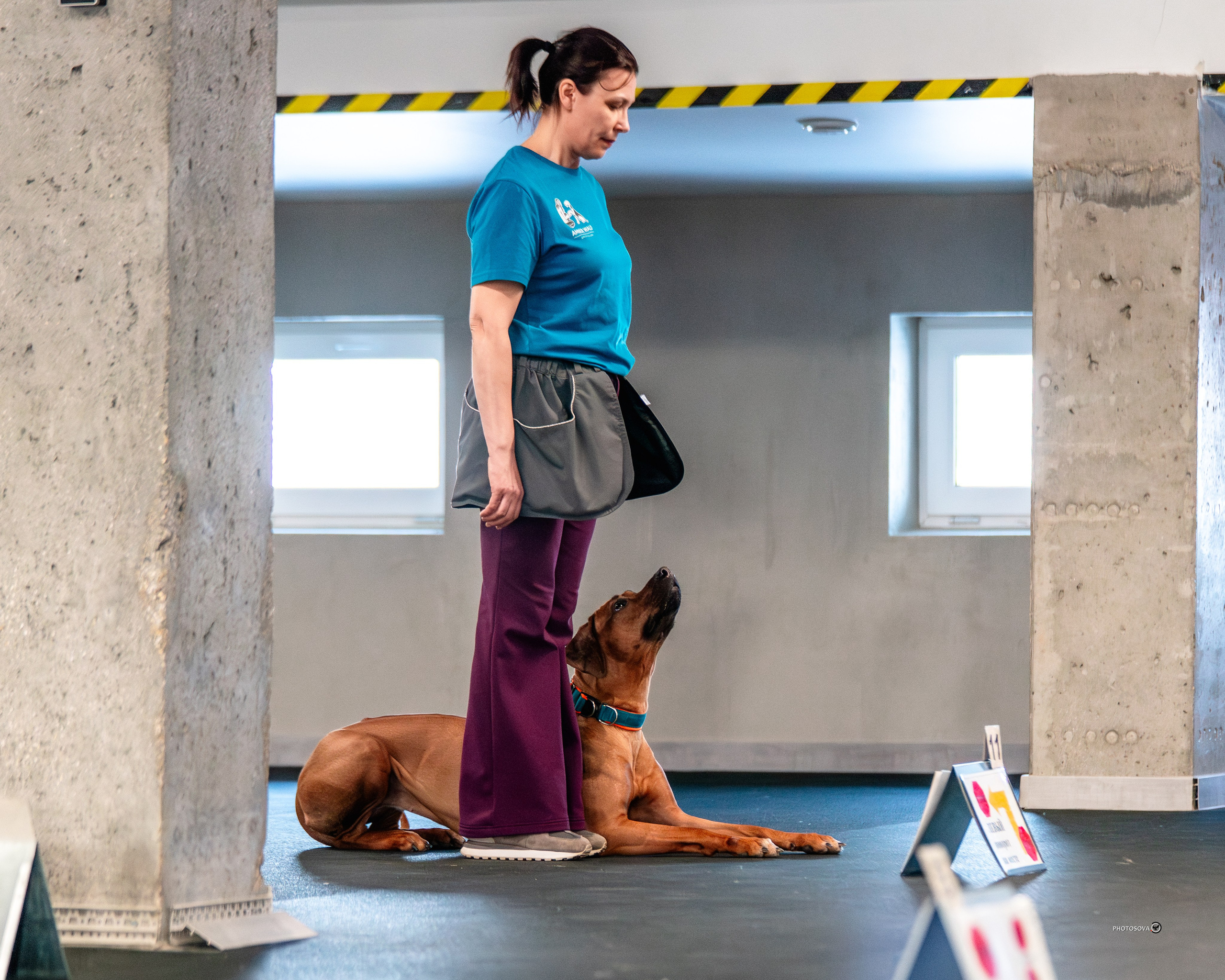 ТЫ И Я (соревнования по ралли-обидиенс). Фотограф-анималист, семейный фотограф в Москве и Подмосковье. Фотосъёмка кинологических дисциплин