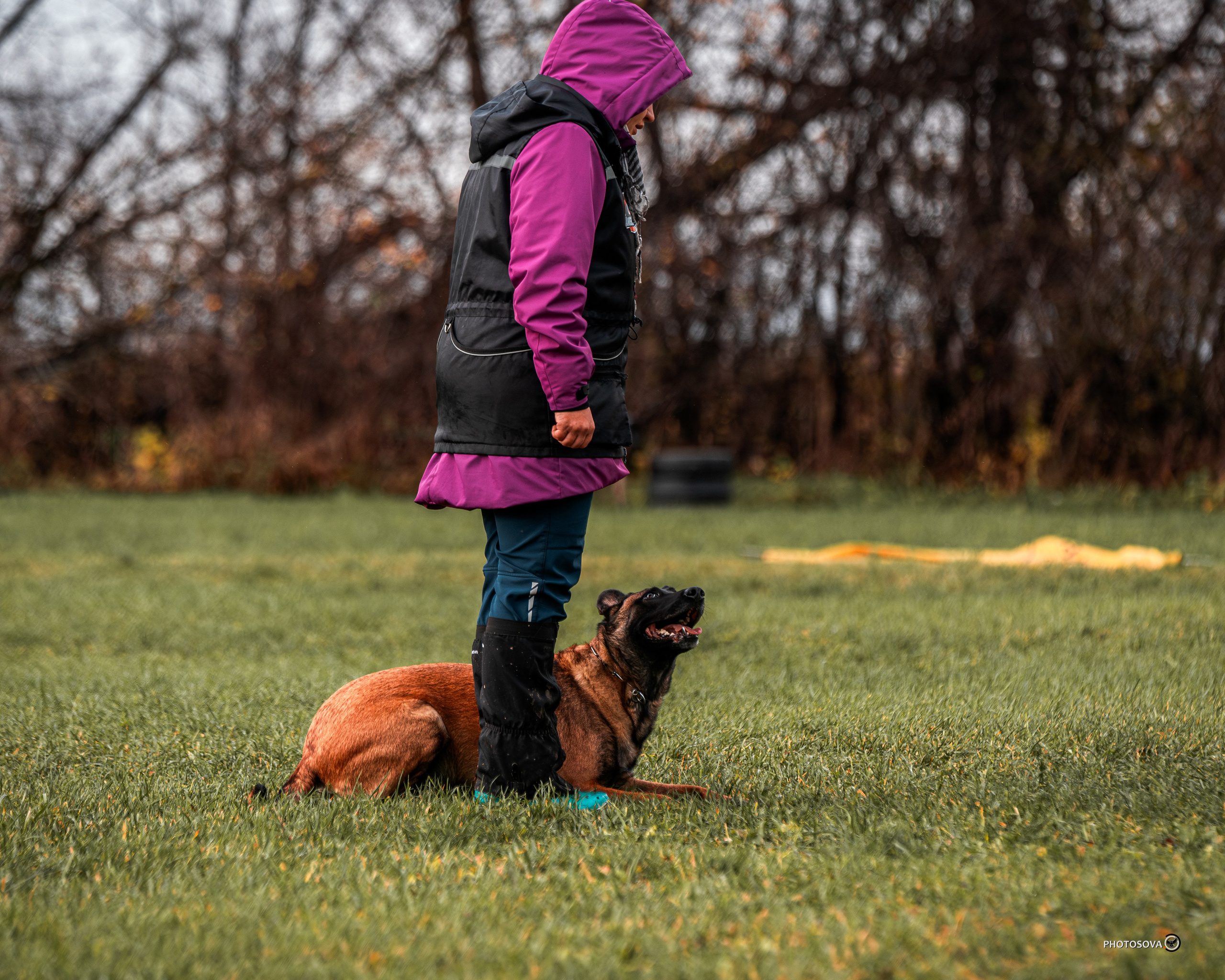 МЫ — КОМАНДА (соревнования) OKD, BH, IBGH, IGP. Фотограф-анималист, семейный фотограф в Москве и Подмосковье. Фотосъёмка кинологических дисциплин