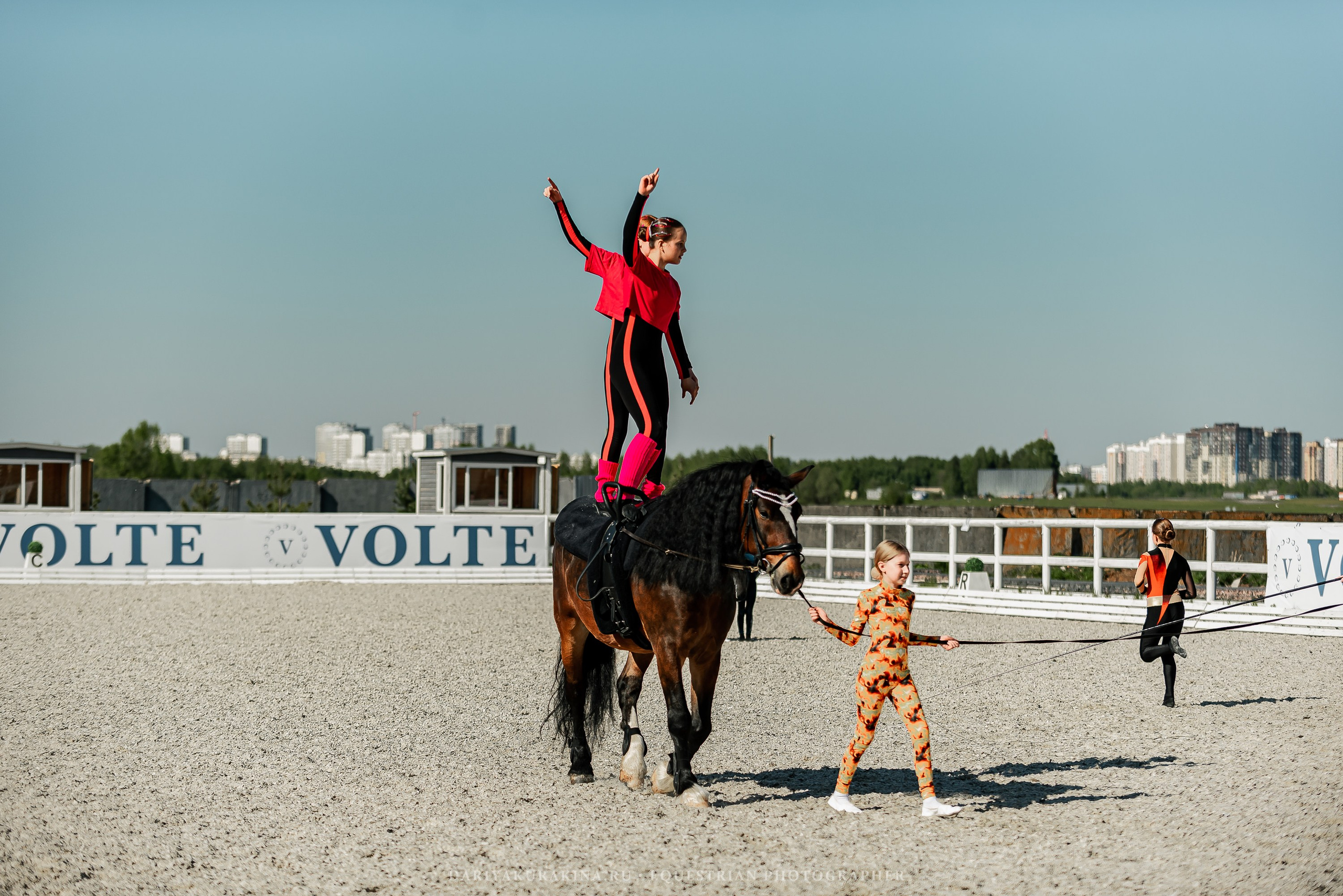 РЕПОРТАЖ МКК ВОЛЬТ «LA TULIPS». Конный фотограф Куракина Дарья • Фотосессии с лошадьми