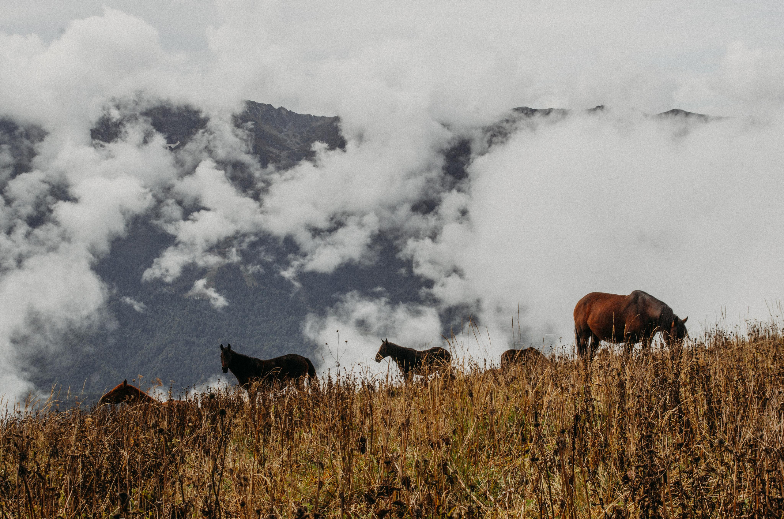 Бзерпинский карниз. 24 сентябрь, 2021. Семейный фотограф в Екатеринбурге Всеволод и Марина Пономаревы