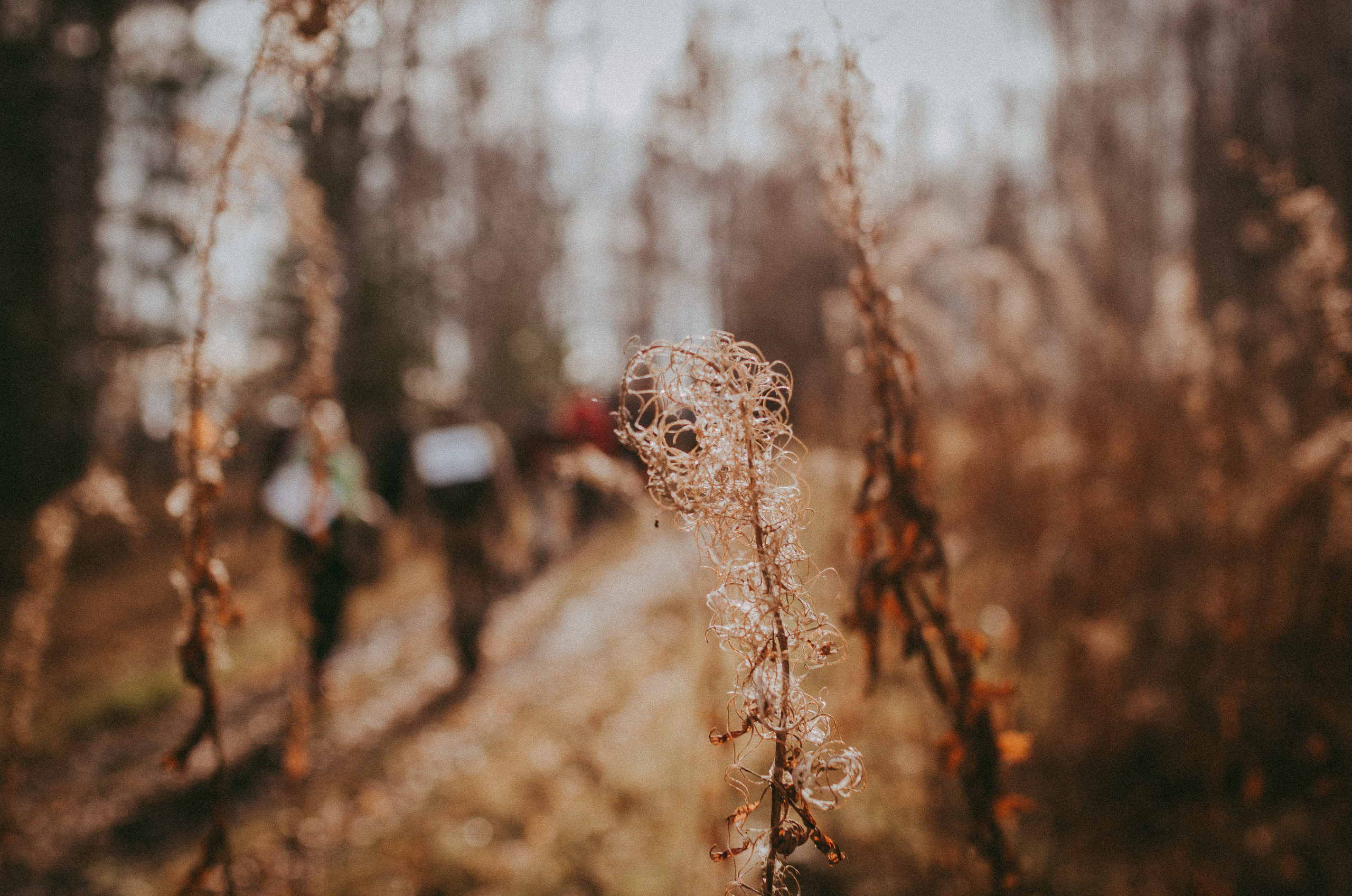 Утёсы реки Юрузань. 17 октябрь, 2021. Семейный фотограф в Екатеринбурге Всеволод и Марина Пономаревы