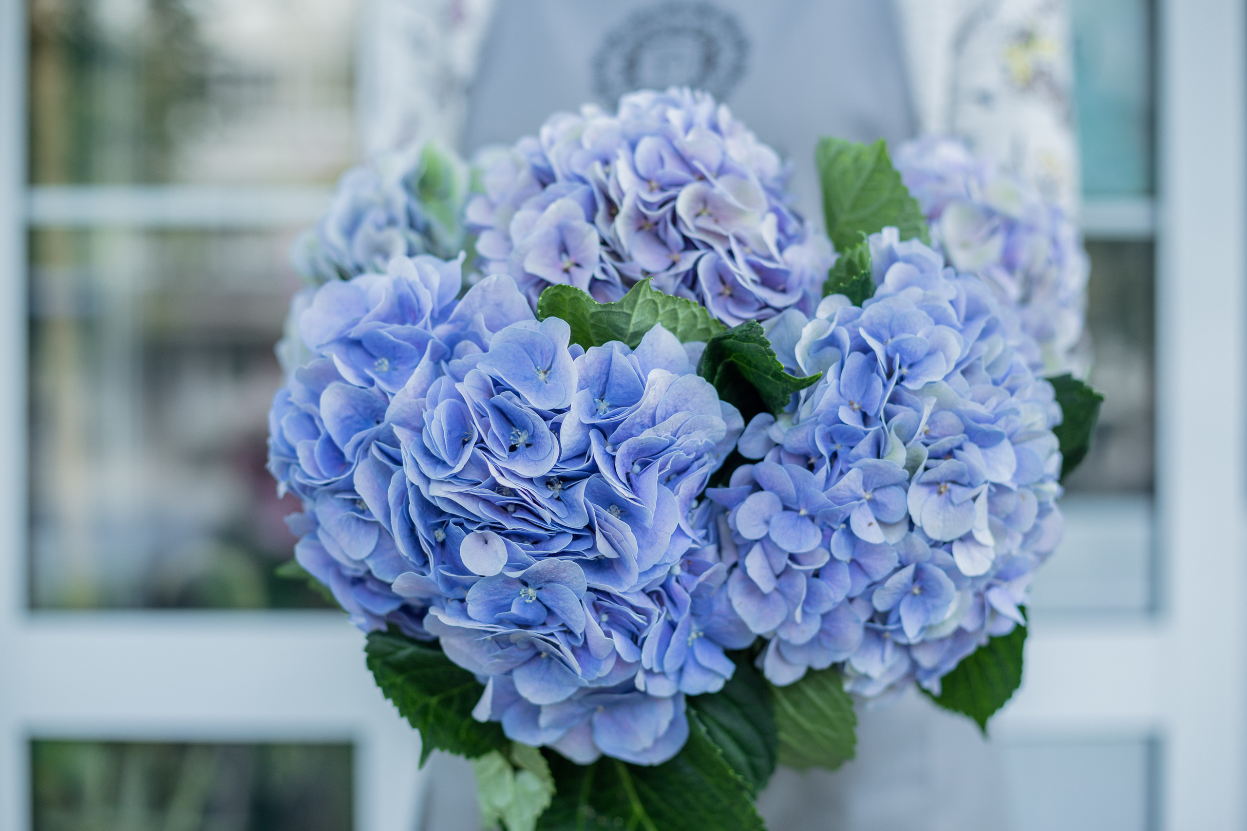 Pascal Flowers. Photographer in Montenegro — professional photoshoots