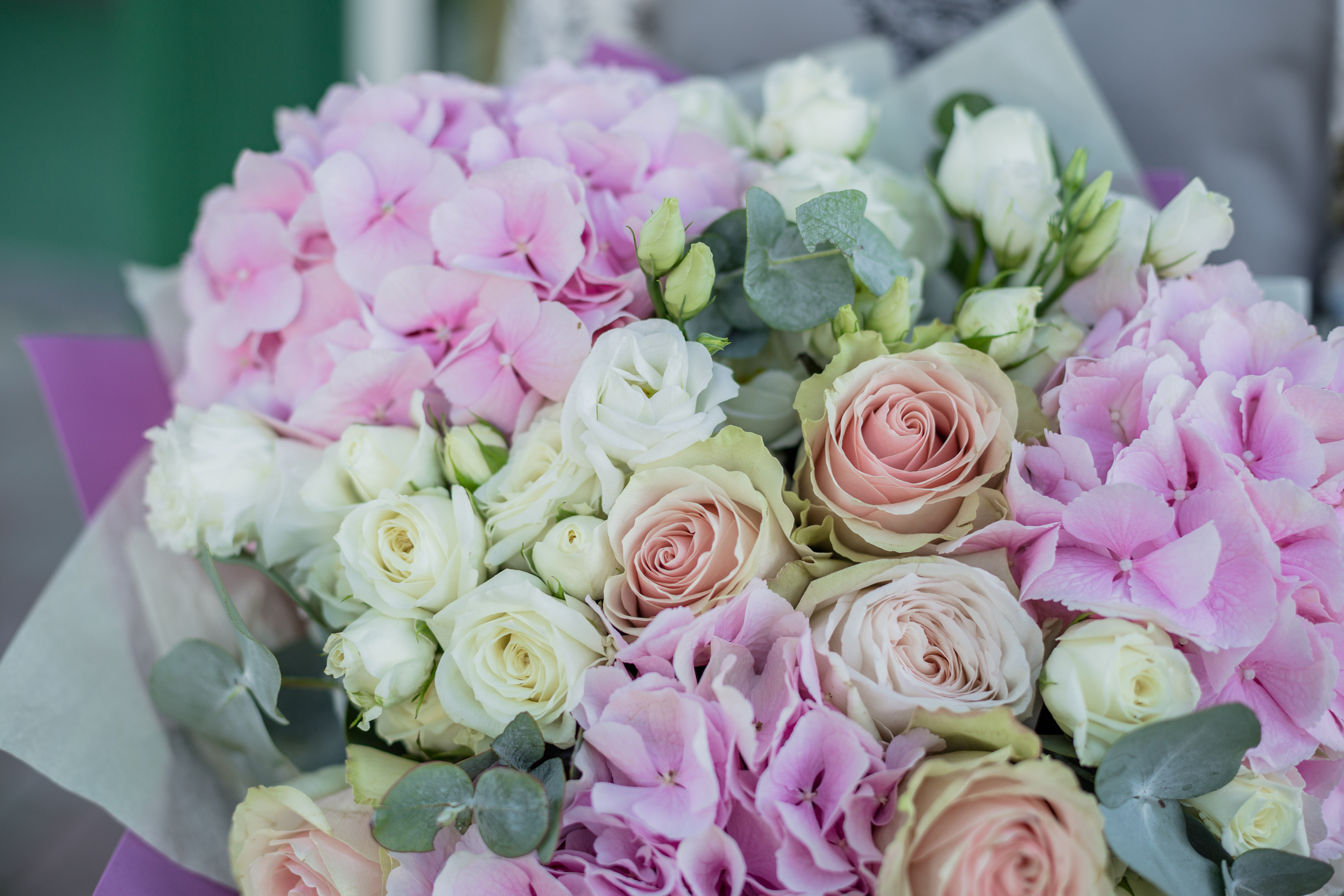 Pascal Flowers. Photographer in Montenegro — professional photoshoots