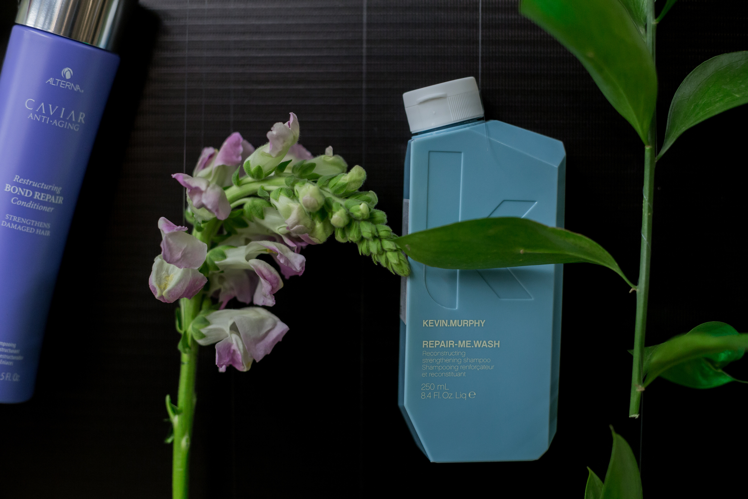 Authentica club party. Fotograf u Crnoj Gori-porodično fotografisanje sa djecom, lovestory, nekretnine