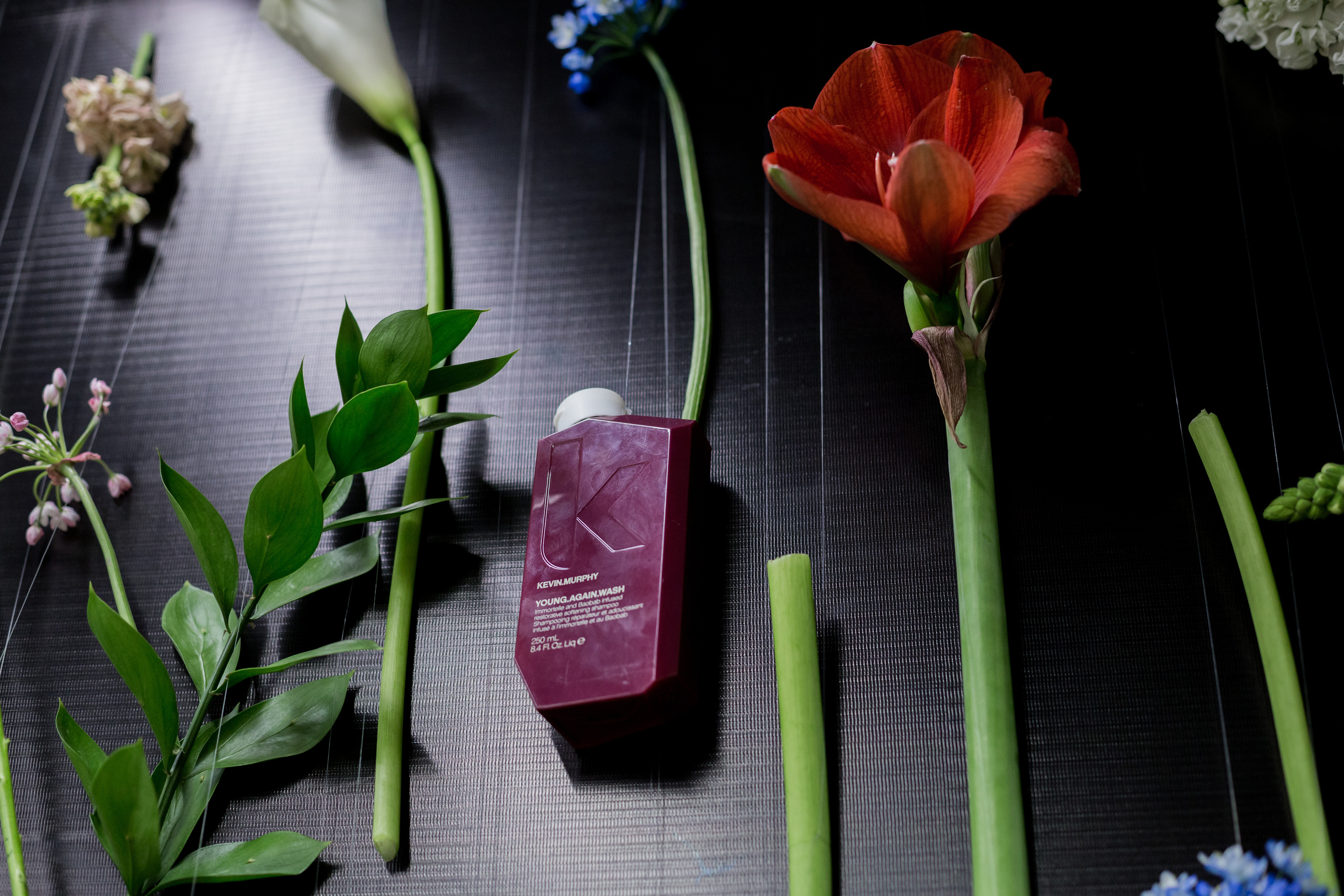 Authentica club party. Fotograf u Crnoj Gori-porodično fotografisanje sa djecom, lovestory, nekretnine