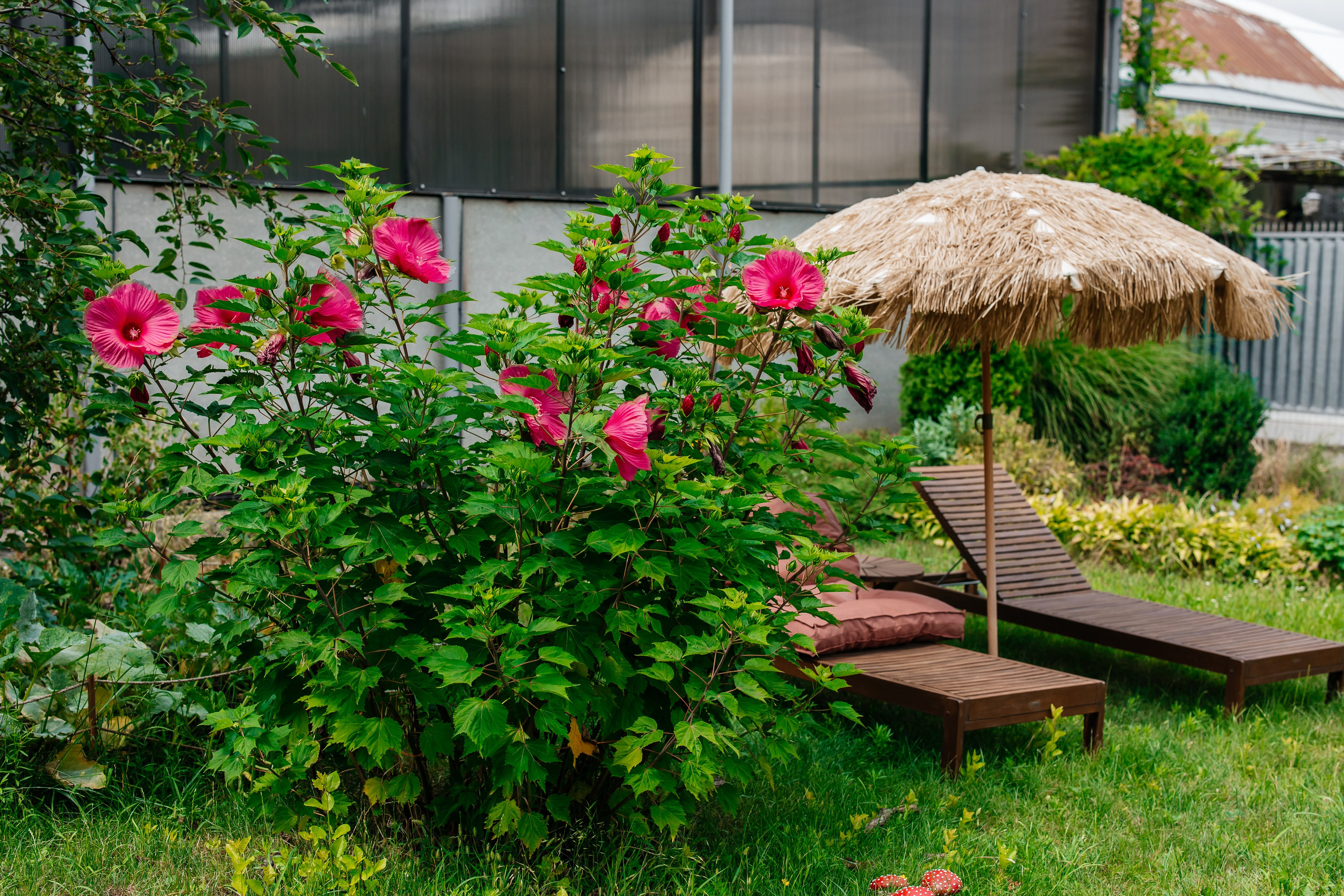 Freedom House. Самый свадебный фотограф