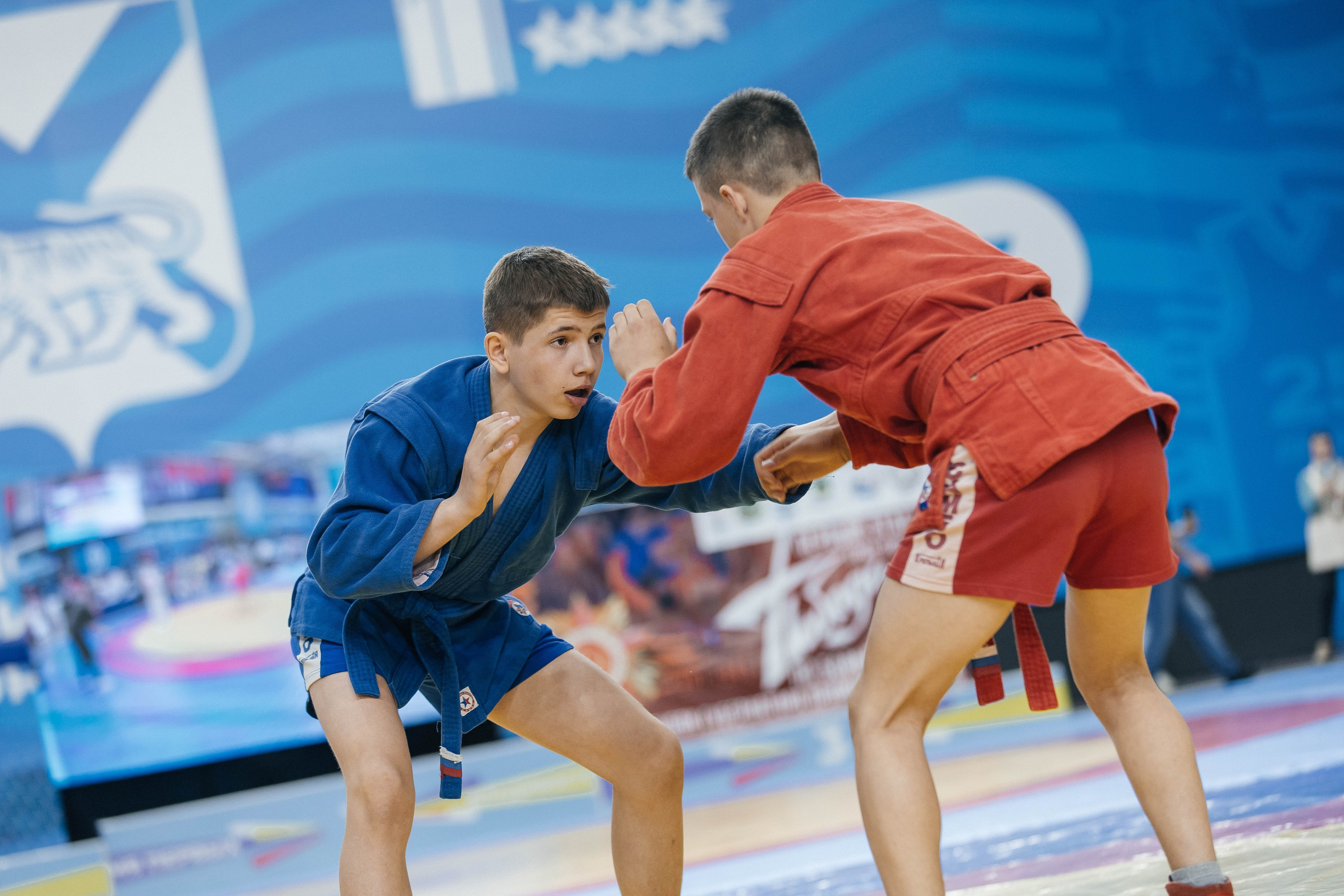 Sambo Championship. Maxim Tsoy Photography